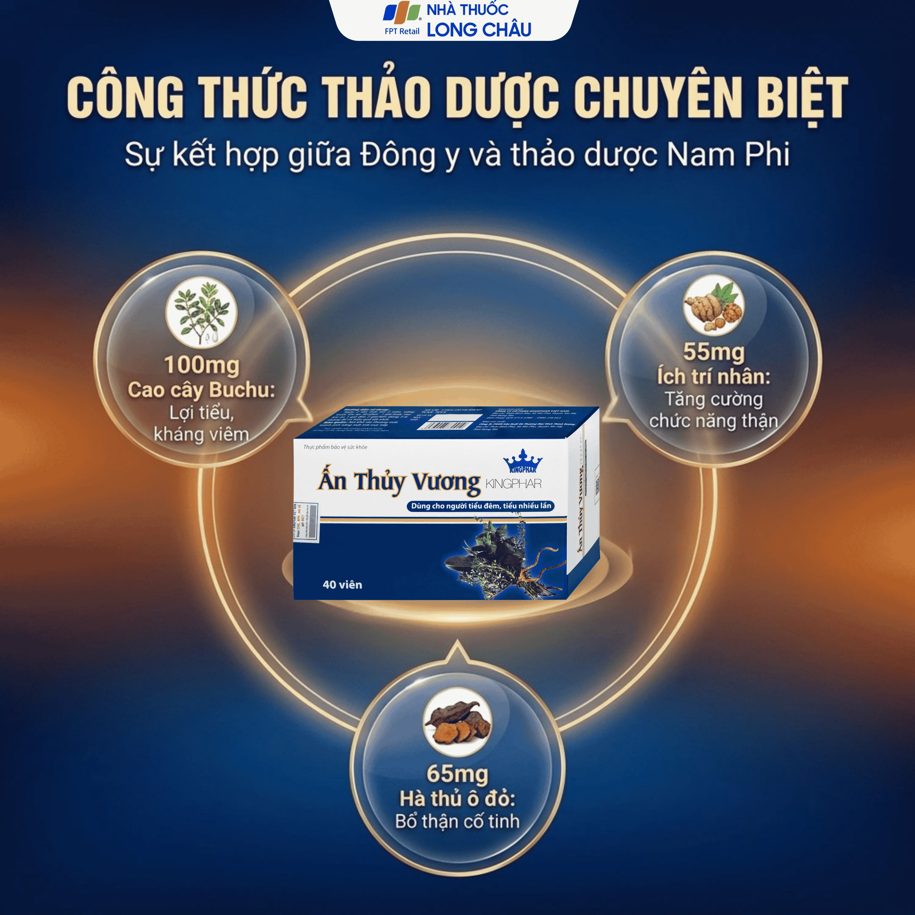 ẤN THỦY VƯƠNG KINGPHAR 4X10 4