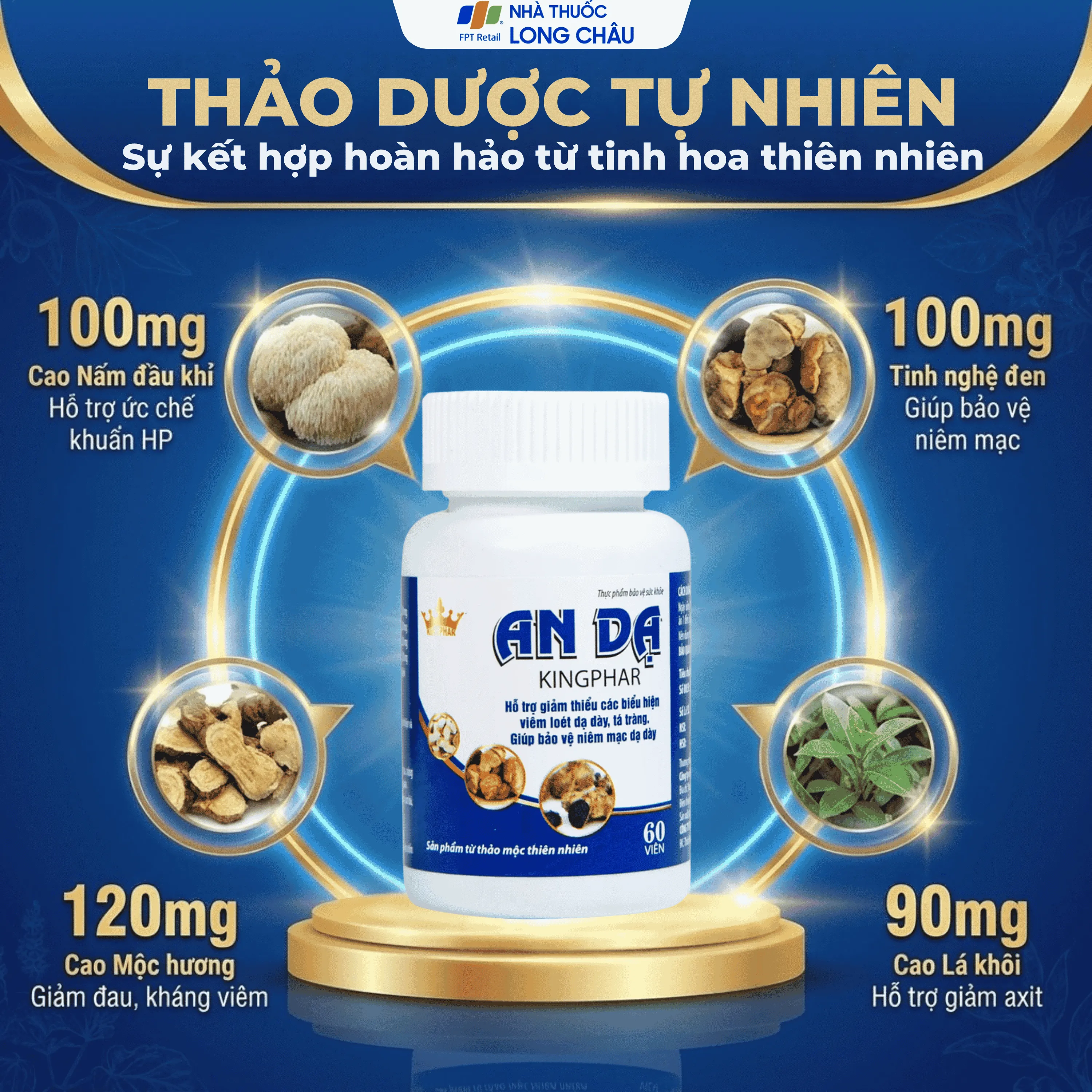 AN DẠ KINGPHAR 60V 3