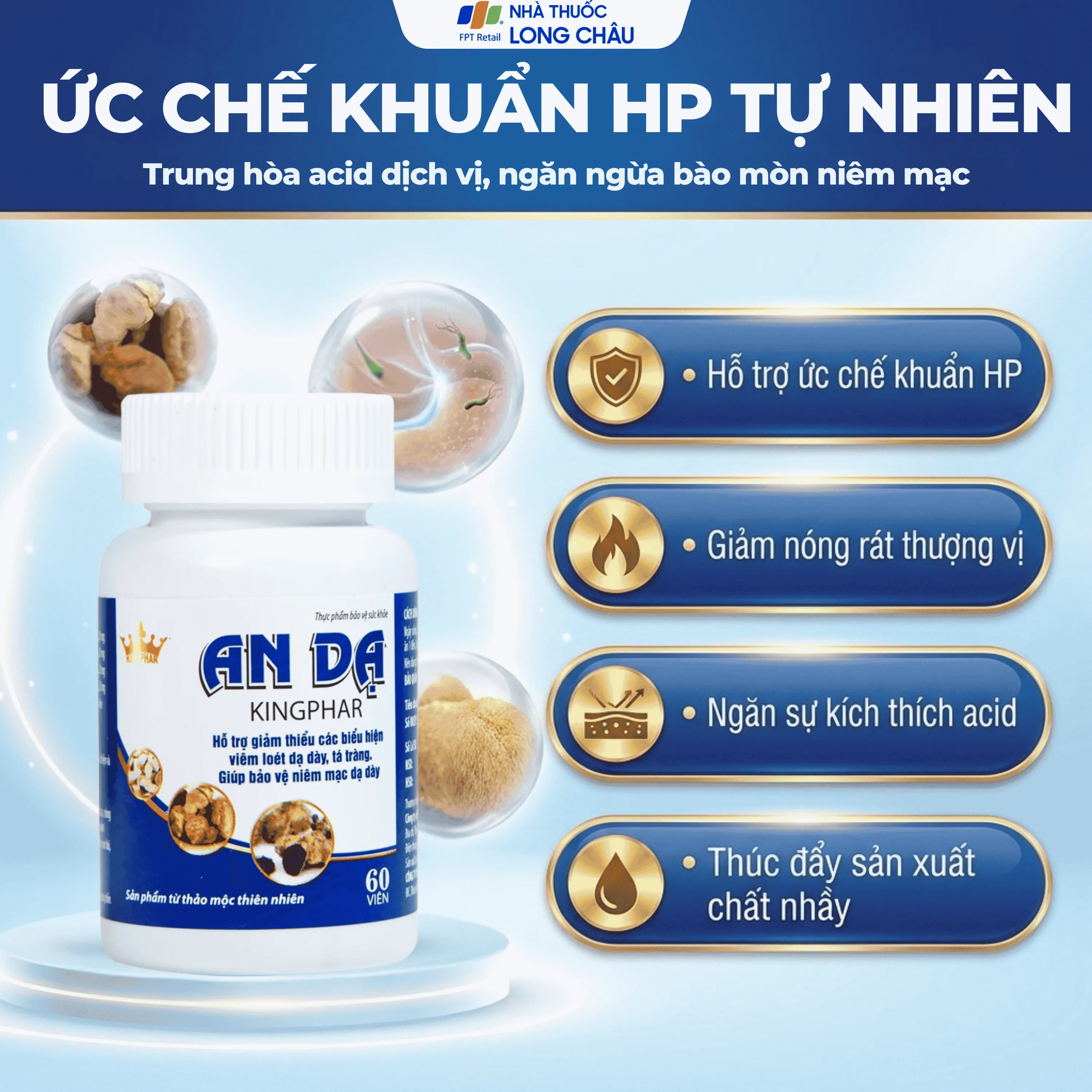 AN DẠ KINGPHAR 60V 4