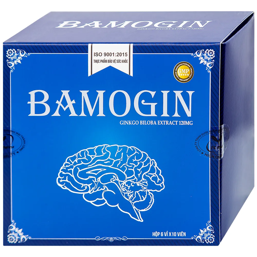 BAMOGIN THÀNH CÔNG 6X10