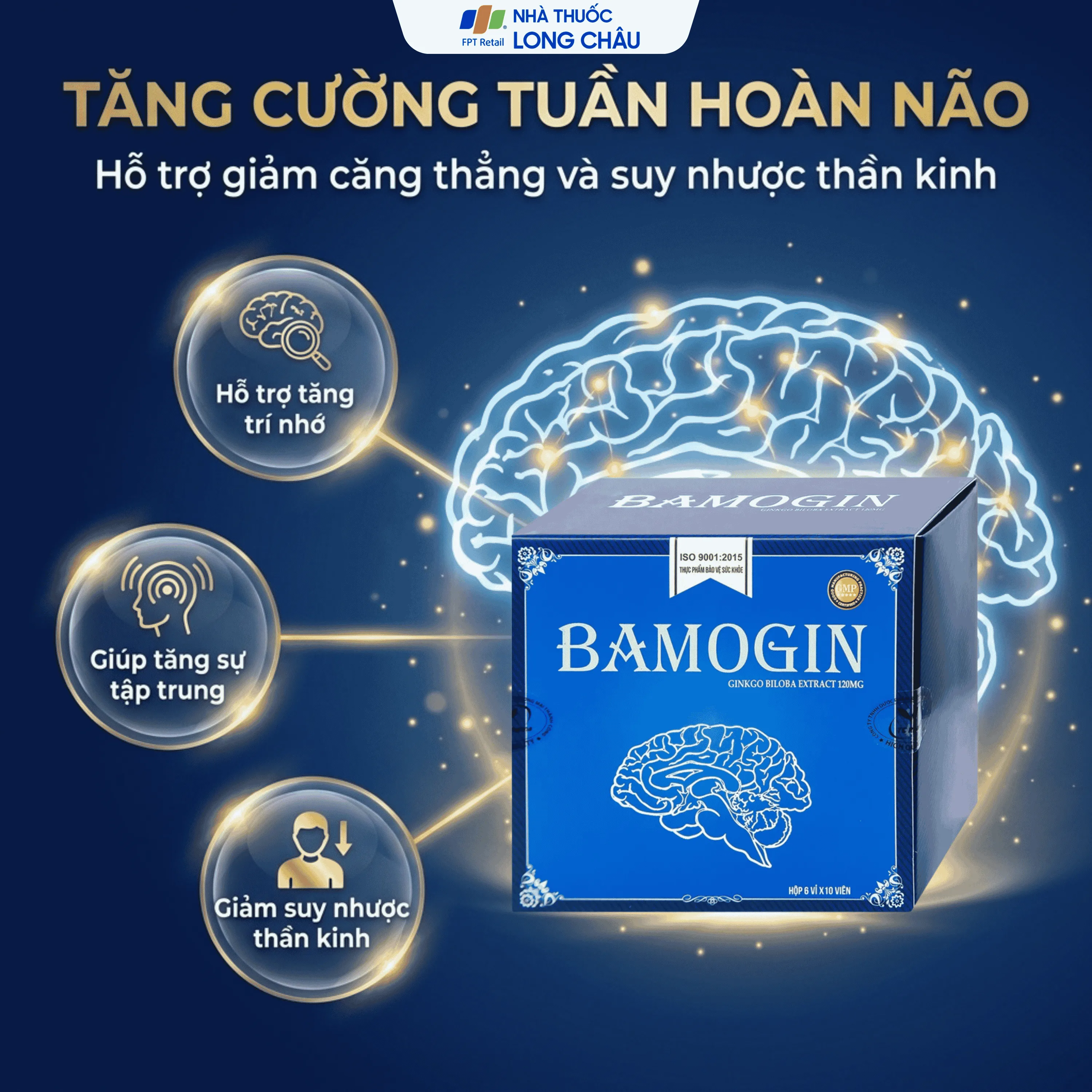 BAMOGIN THÀNH CÔNG 6X10 2