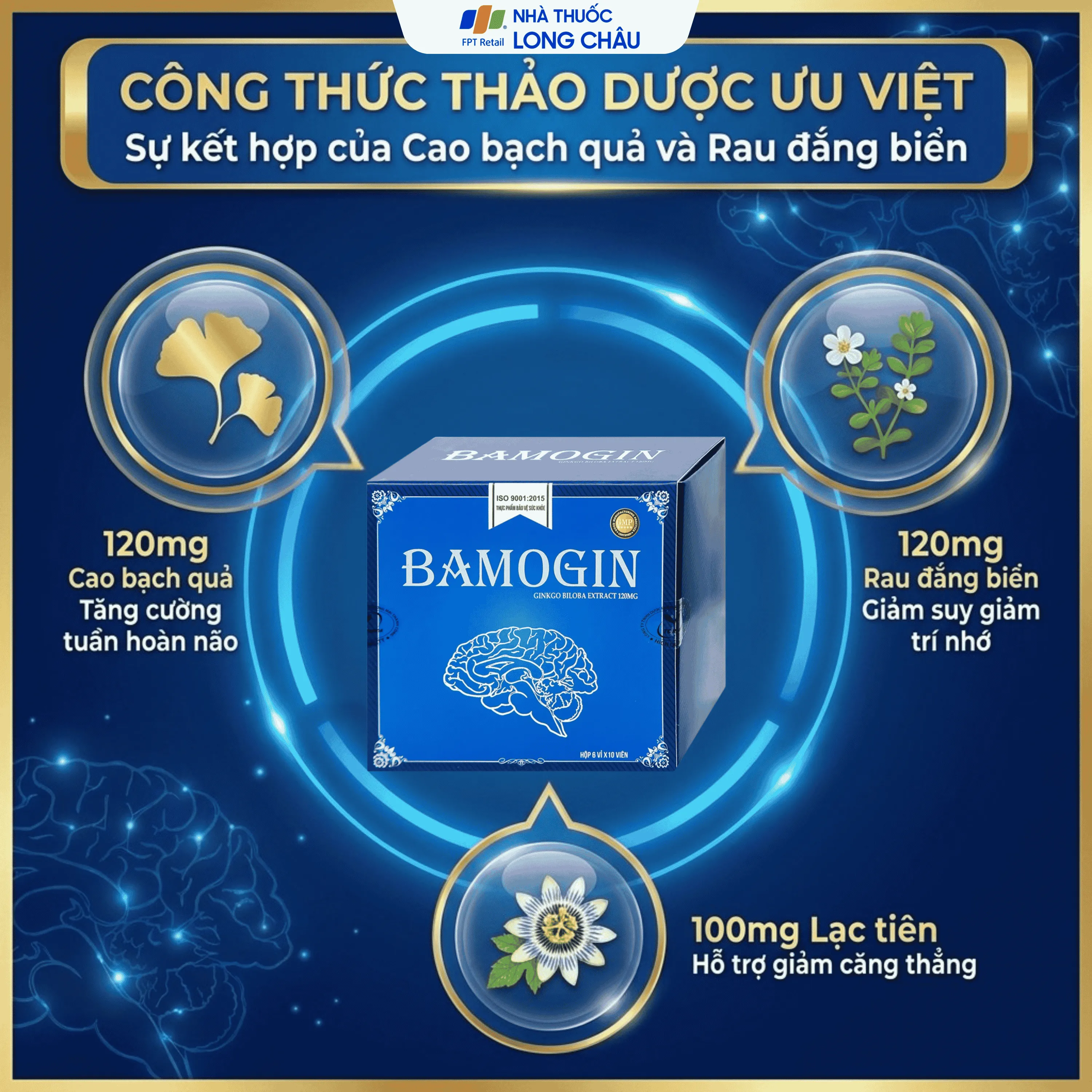 BAMOGIN THÀNH CÔNG 6X10 3