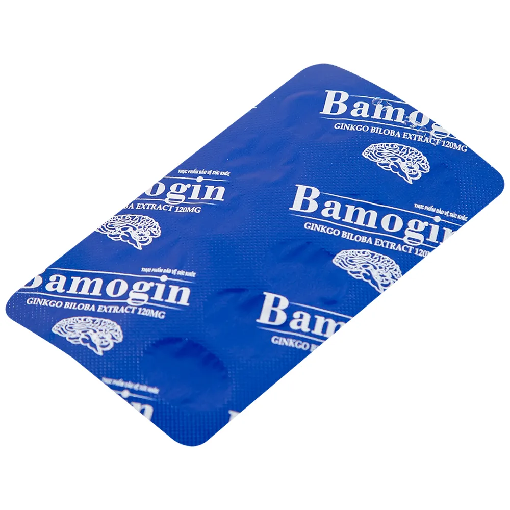 BAMOGIN THÀNH CÔNG 6X10 8