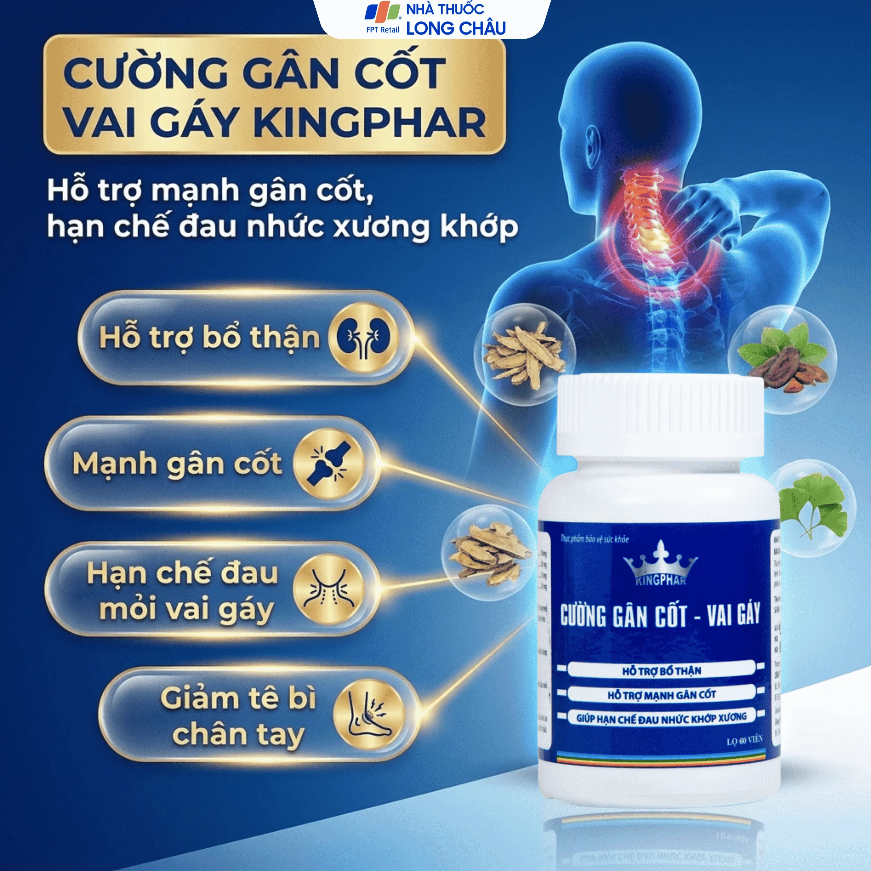 CƯỜNG GÂN CỐT - VAI GÁY KINGPHAR 60V 2