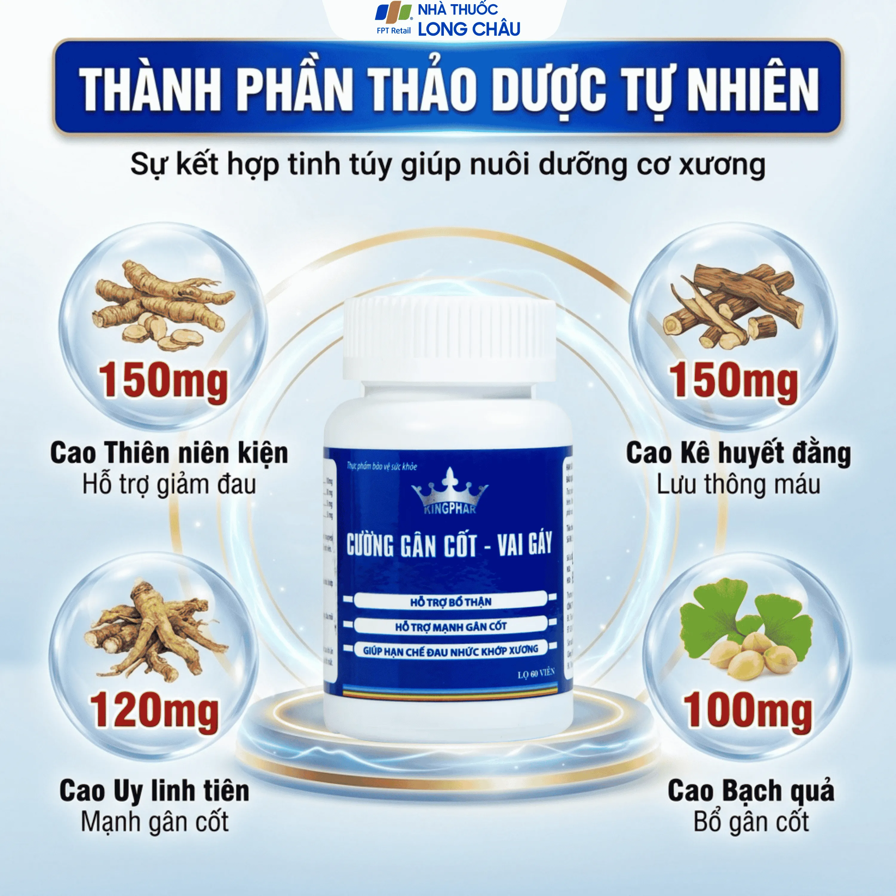 CƯỜNG GÂN CỐT - VAI GÁY KINGPHAR 60V 3