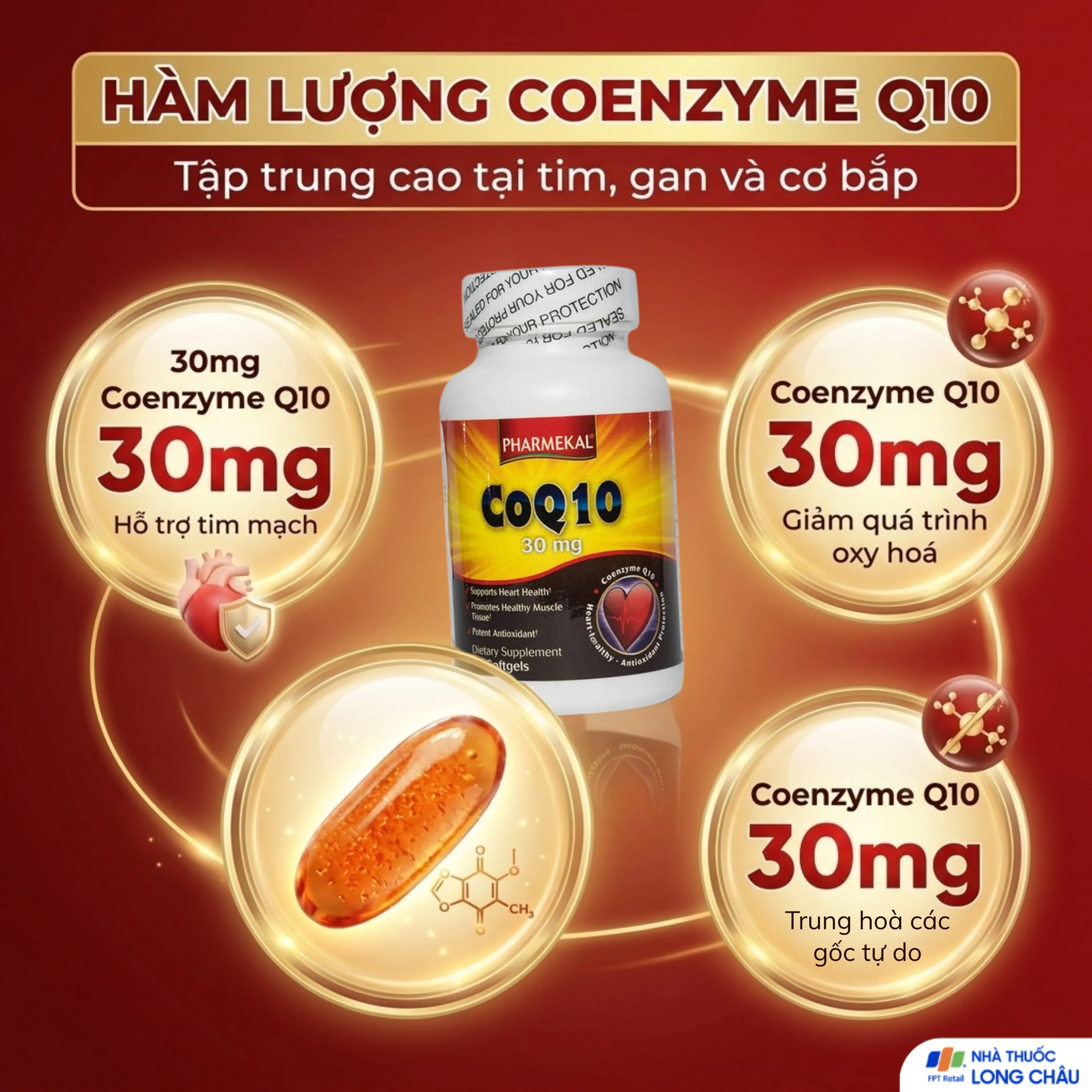COQ10 PHARMEKAL 30V 4
