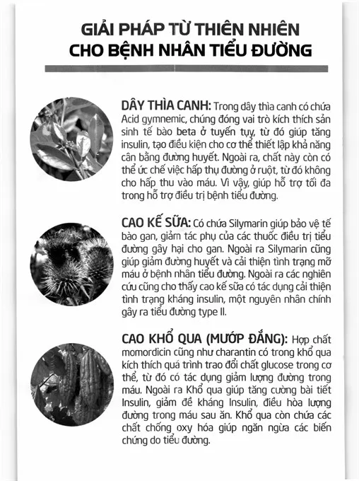 Dây Thìa Canh Dân Khang hỗ trợ làm giảm đường huyết hộp 30 viên 7