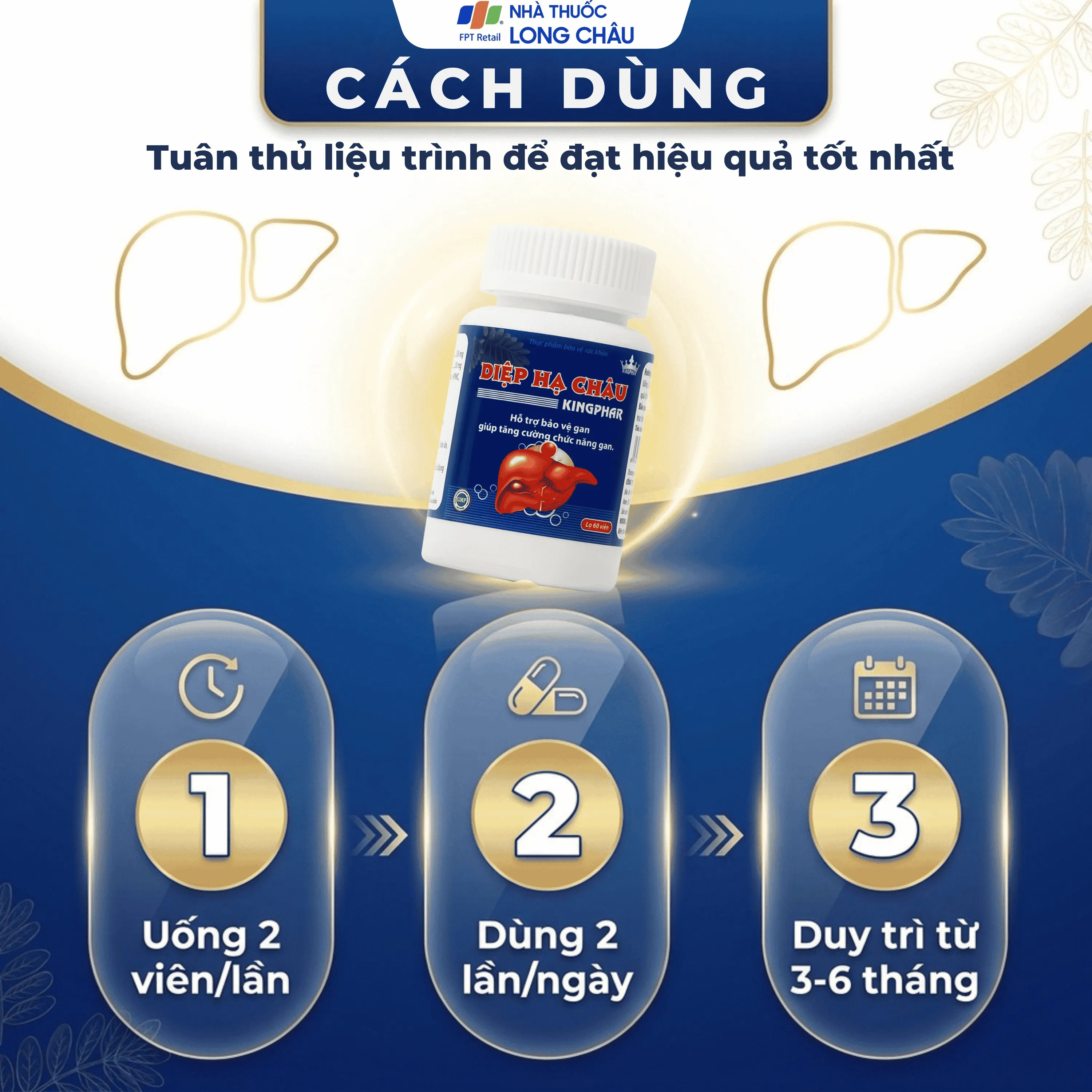 DIỆP HẠ CHÂU KINGPHAR 60V 5
