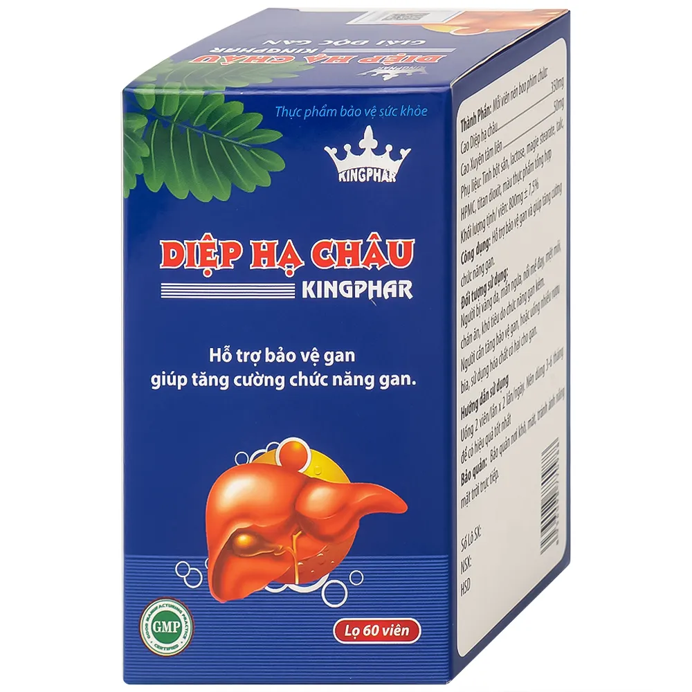 DIỆP HẠ CHÂU KINGPHAR 60V 6