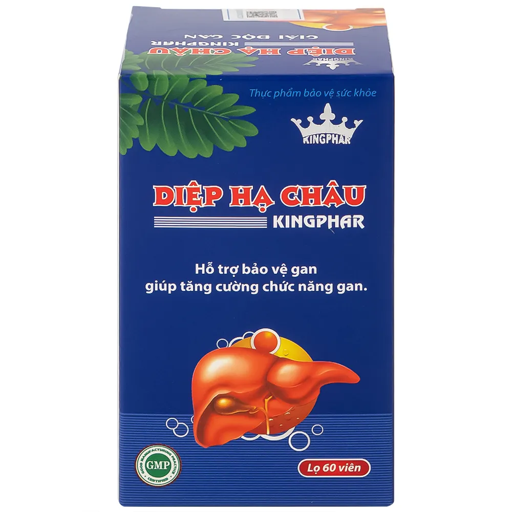 DIỆP HẠ CHÂU KINGPHAR 60V 7