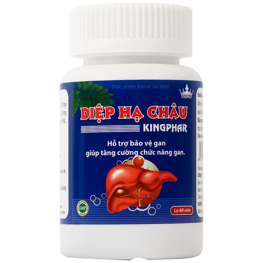 DIỆP HẠ CHÂU KINGPHAR 60V 11