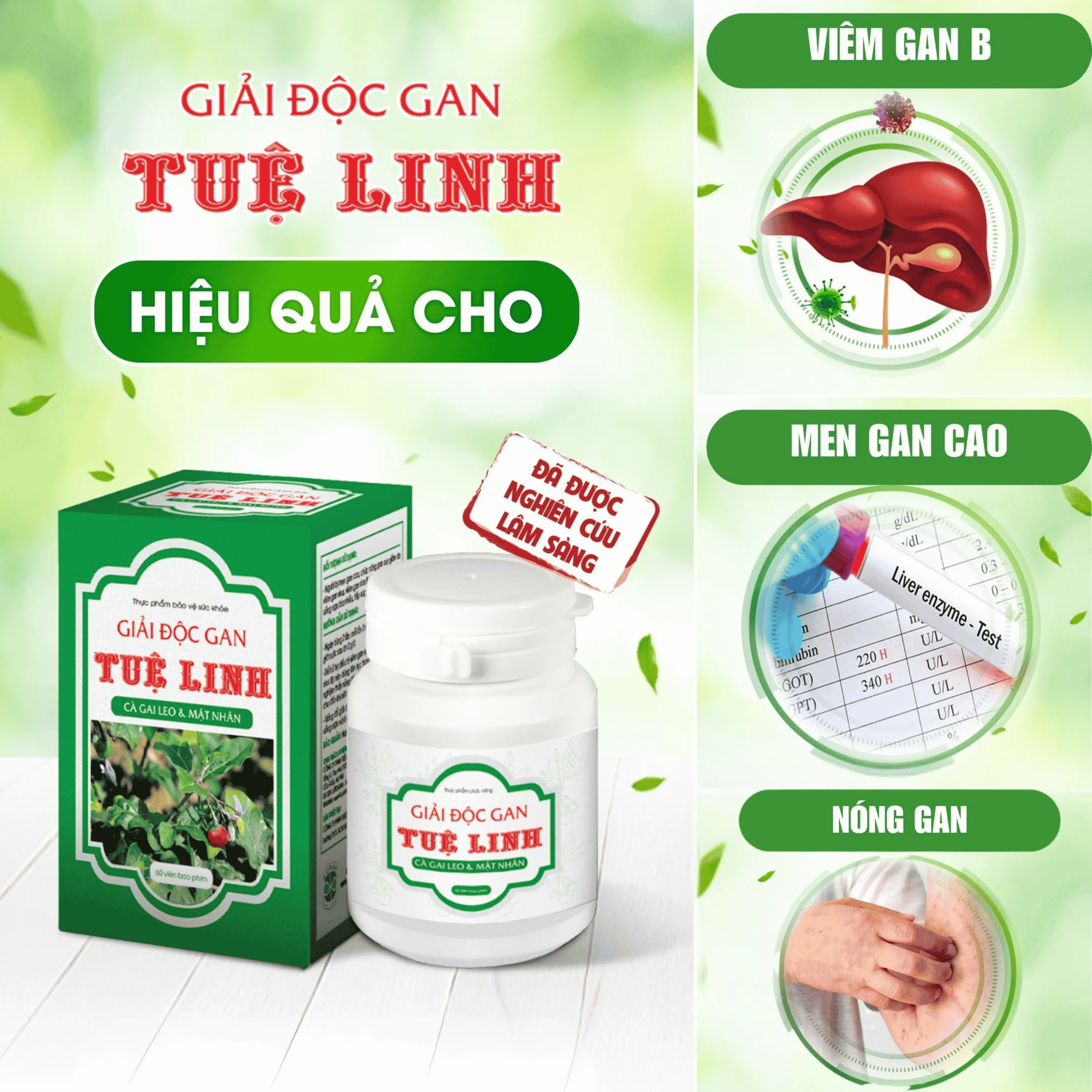 GIẢI ĐỘC GAN TUỆ LINH 60V 6