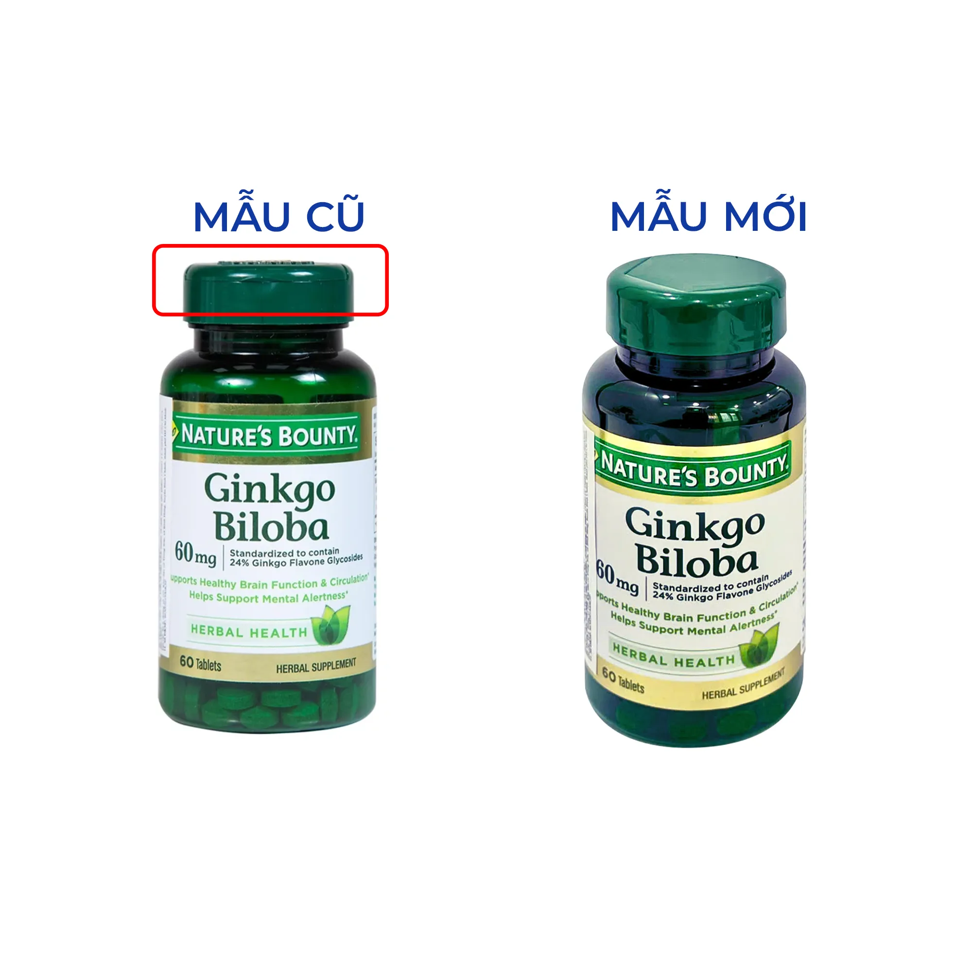 GINKGO BILOBA 60MG NATURES BOUNTY 60V 7