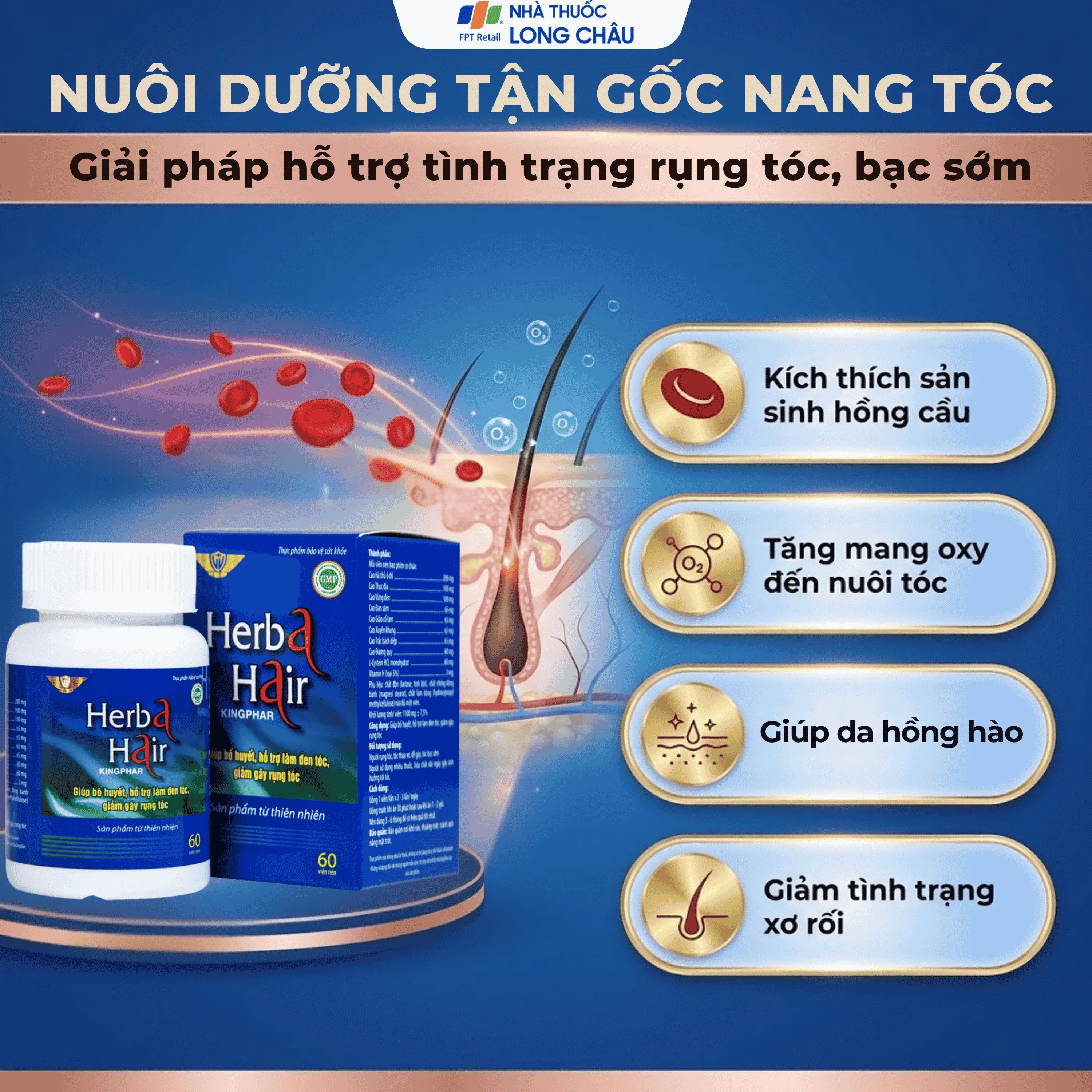 HERBA HAIR KINGPHAR NEW 60V 4