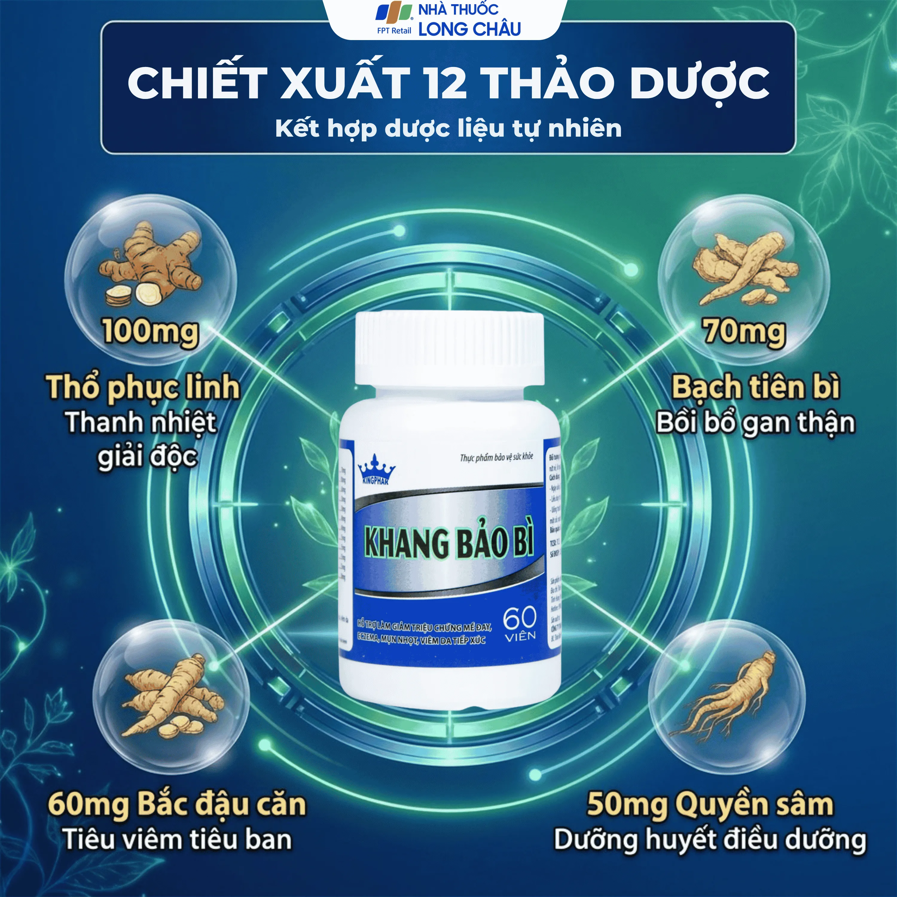 KHANG BẢO BÌ KINGPHAR 60V 4