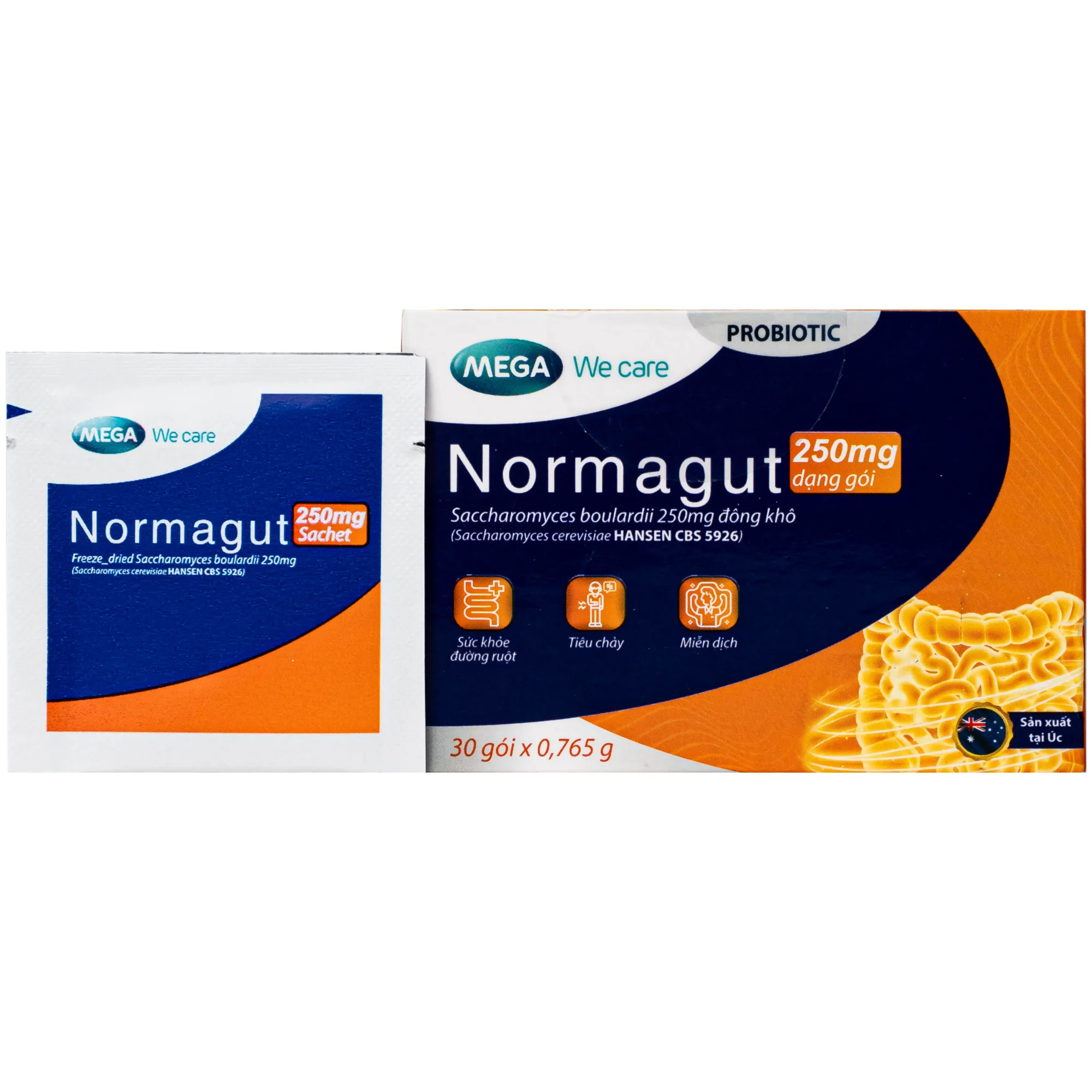 MEN VI SINH HỖ TRỢ BẢO VỆ ĐƯỜNG RUỘT KHỎE MẠNH NORMAGUT SACHET MEGA 30 GÓI