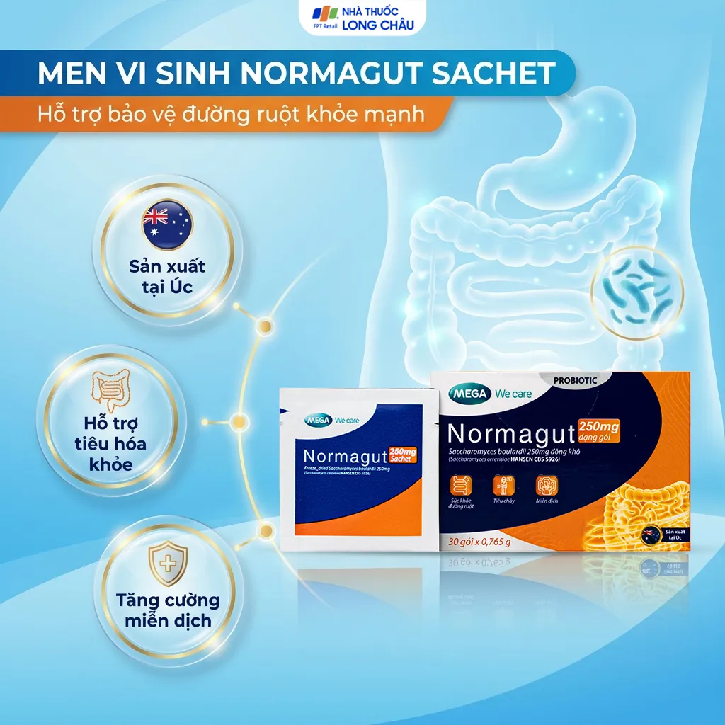 MEN VI SINH HỖ TRỢ BẢO VỆ ĐƯỜNG RUỘT KHỎE MẠNH NORMAGUT SACHET MEGA 30 GÓI 2
