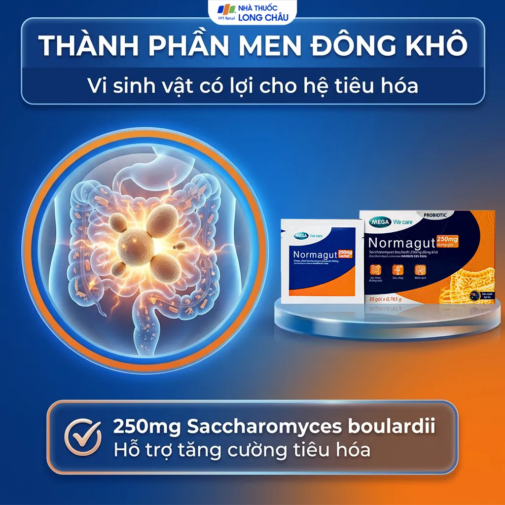 MEN VI SINH HỖ TRỢ BẢO VỆ ĐƯỜNG RUỘT KHỎE MẠNH NORMAGUT SACHET MEGA 30 GÓI 3