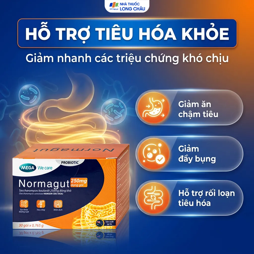 MEN VI SINH HỖ TRỢ BẢO VỆ ĐƯỜNG RUỘT KHỎE MẠNH NORMAGUT SACHET MEGA 30 GÓI 4