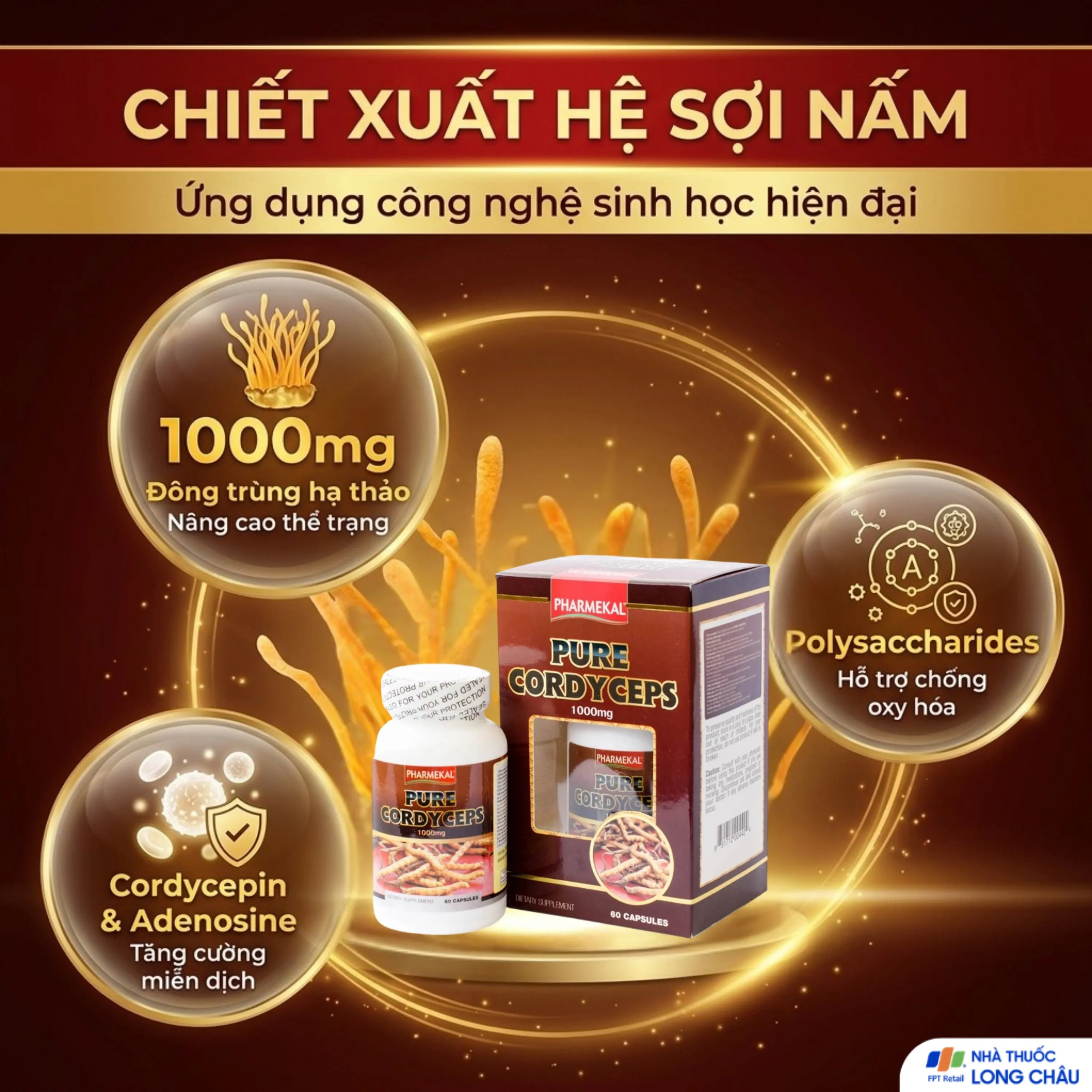 PURE CORDYCEPS PHARMEKAL 60V 2