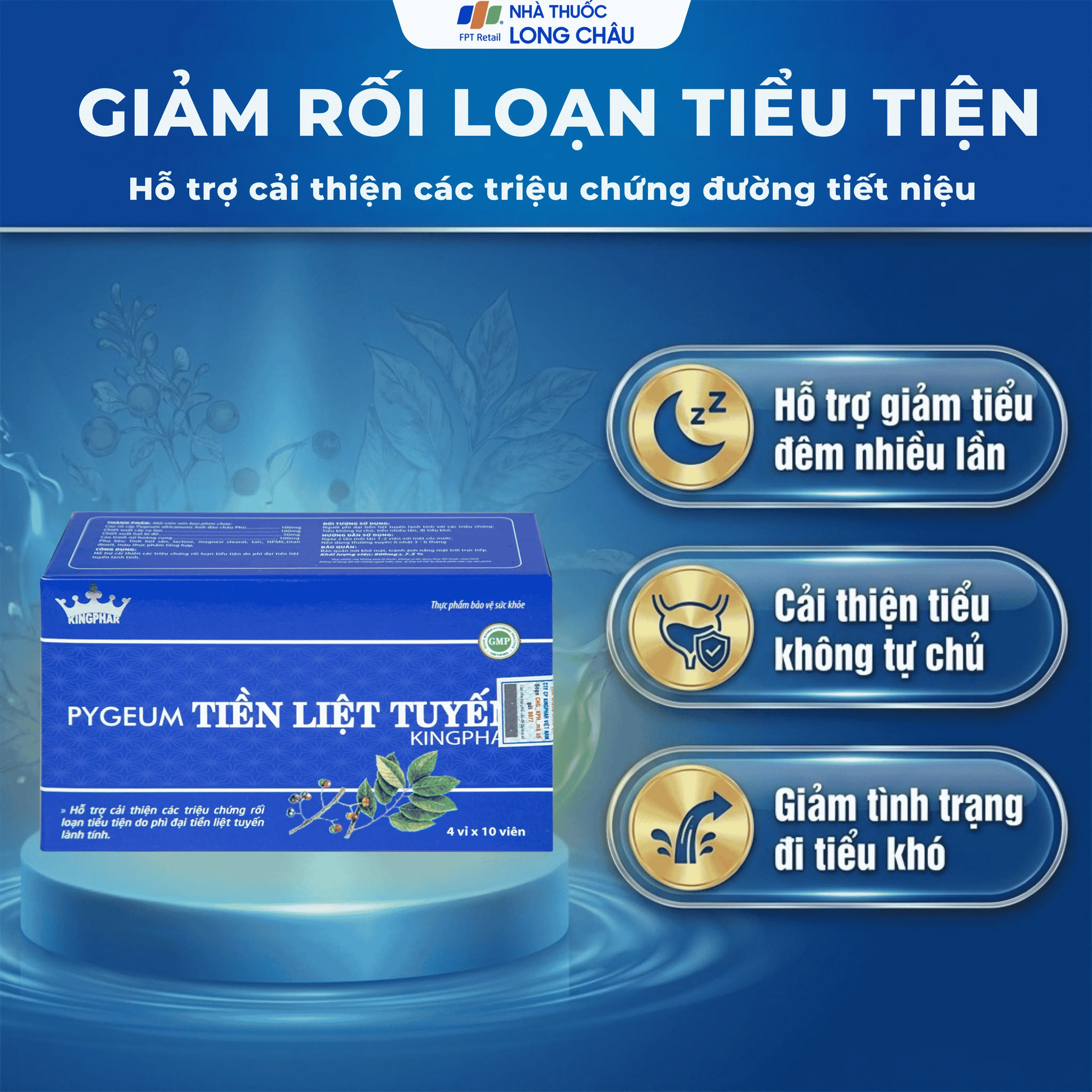 PYGEUM TIỀN LIỆT TUYẾN KINGPHAR 4X10 2