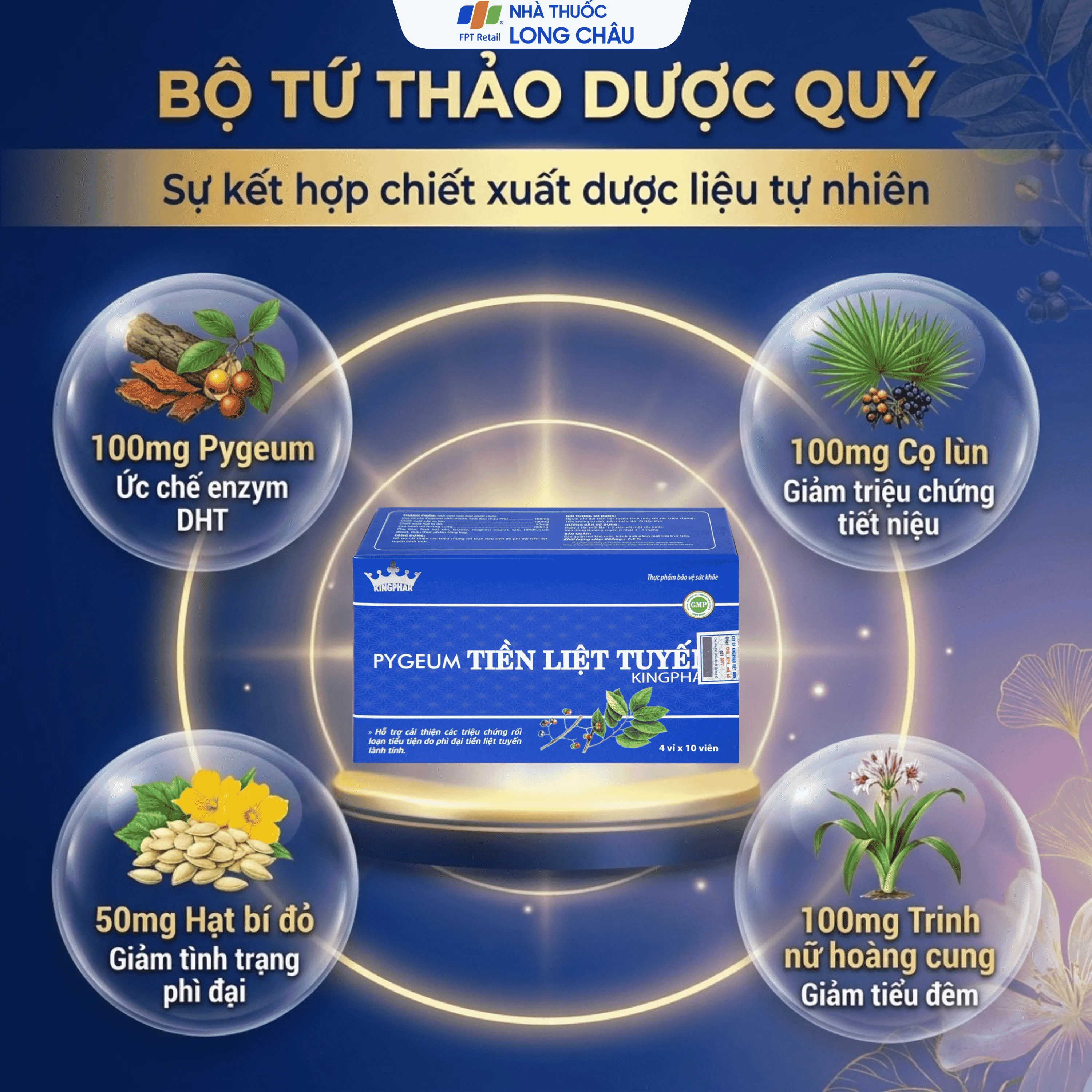 PYGEUM TIỀN LIỆT TUYẾN KINGPHAR 4X10 3