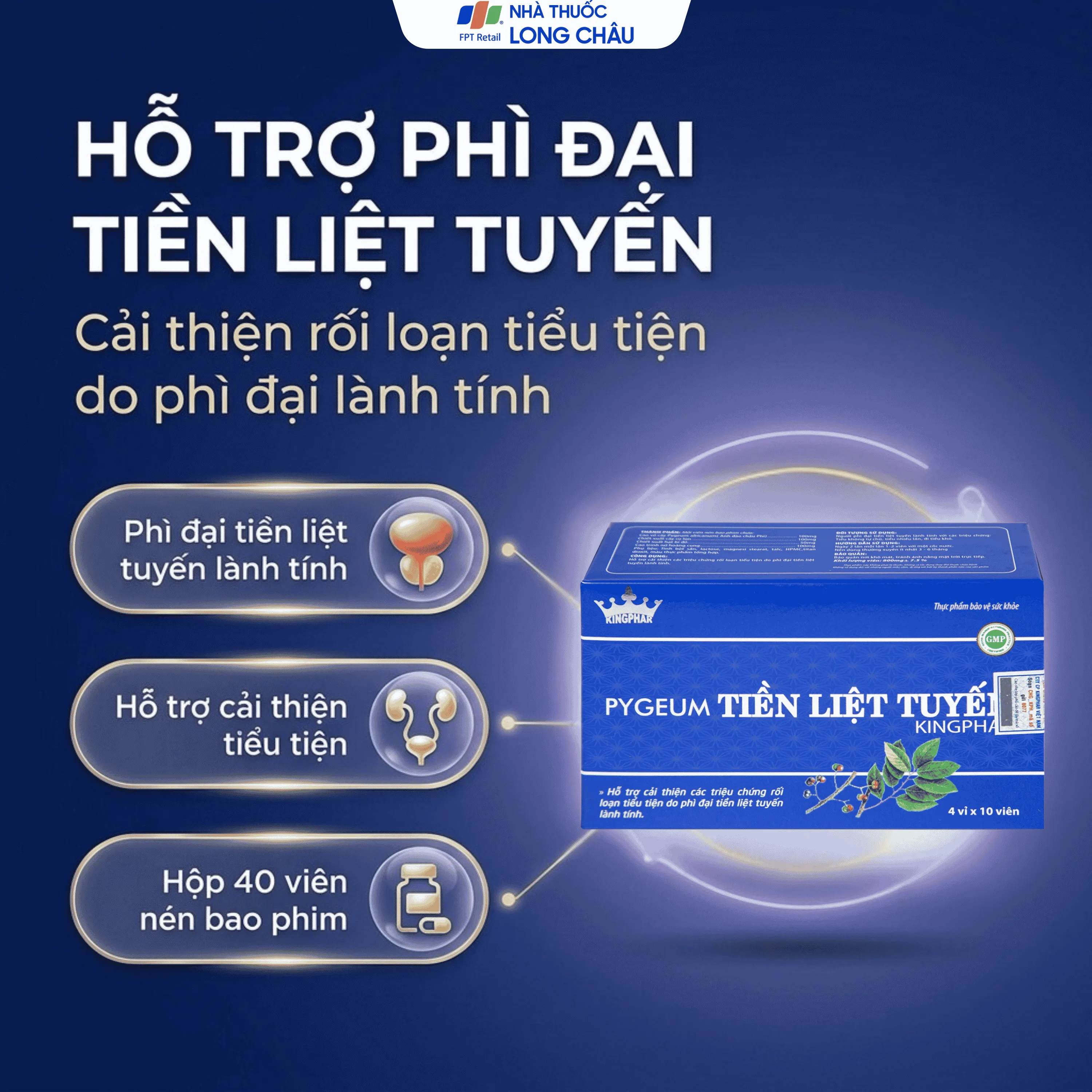 PYGEUM TIỀN LIỆT TUYẾN KINGPHAR 4X10 4