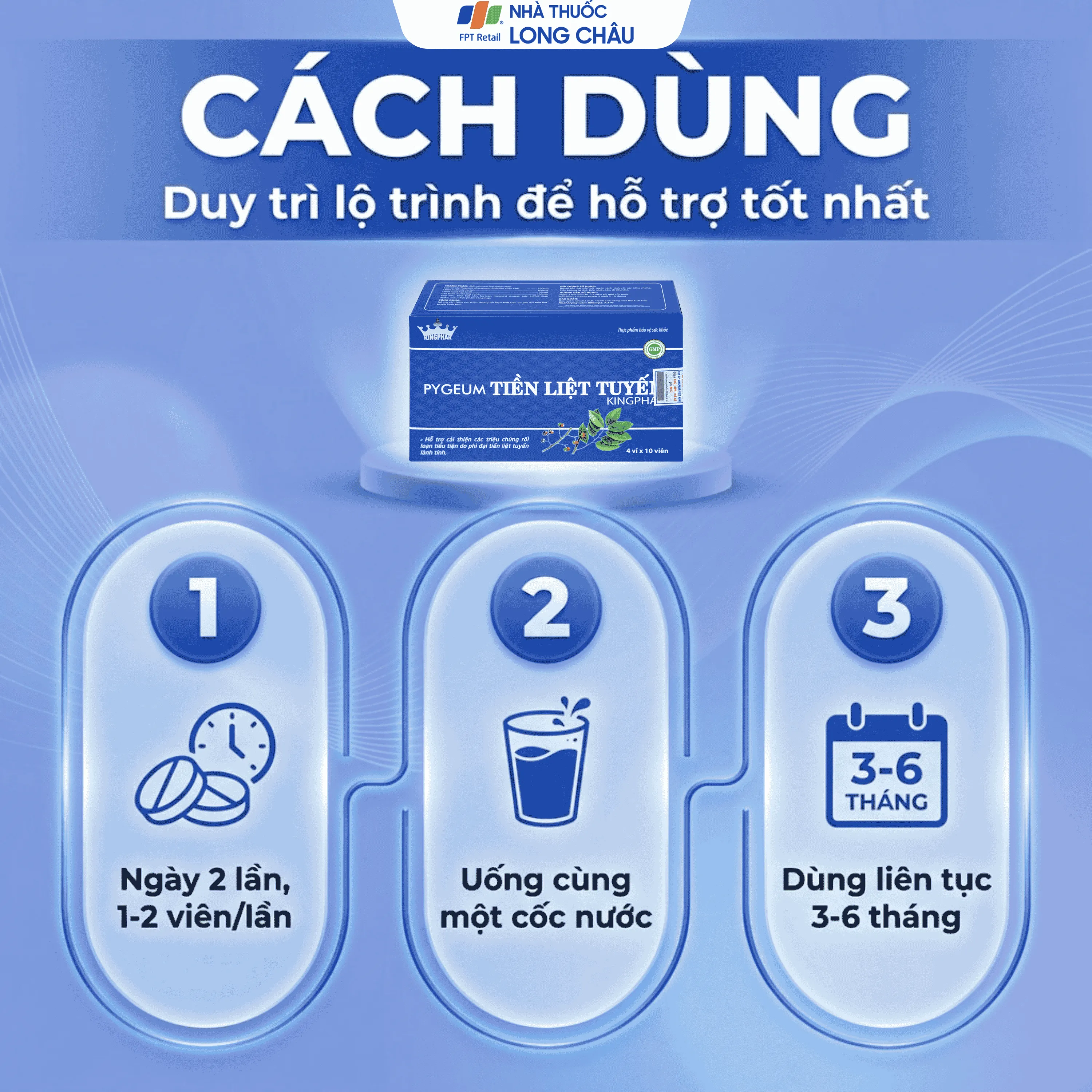 PYGEUM TIỀN LIỆT TUYẾN KINGPHAR 4X10 5