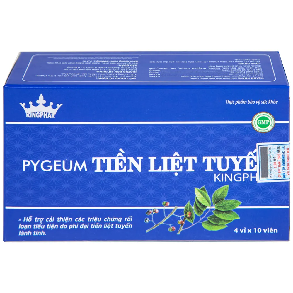 PYGEUM TIỀN LIỆT TUYẾN KINGPHAR 4X10 10