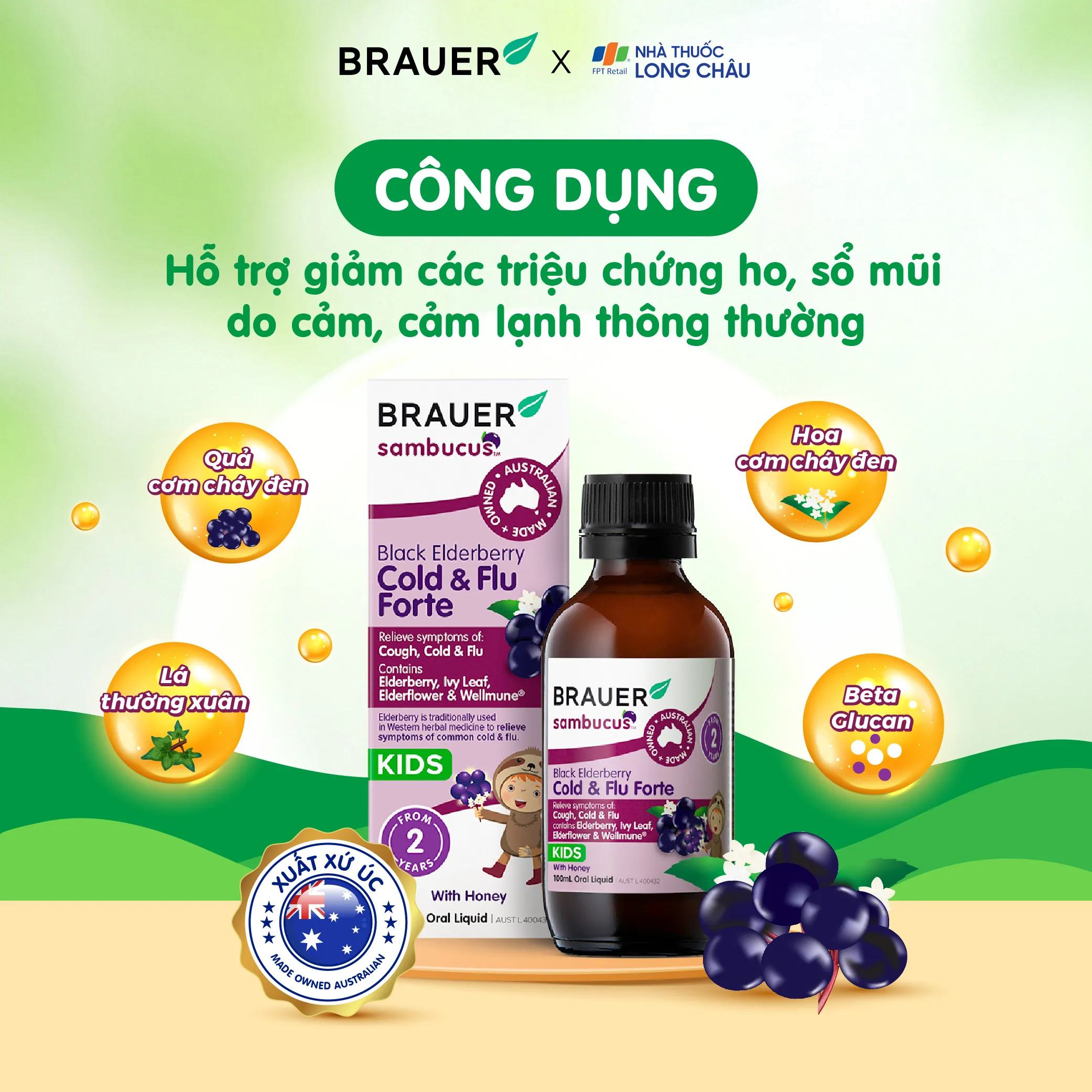 SIRO HỖ TRỢ GIẢM TRIỆU CHỨNG HO SỔ MŨI BLACK ELDERBERRY COLD & FLU FORTE BRAUER 100ML 2