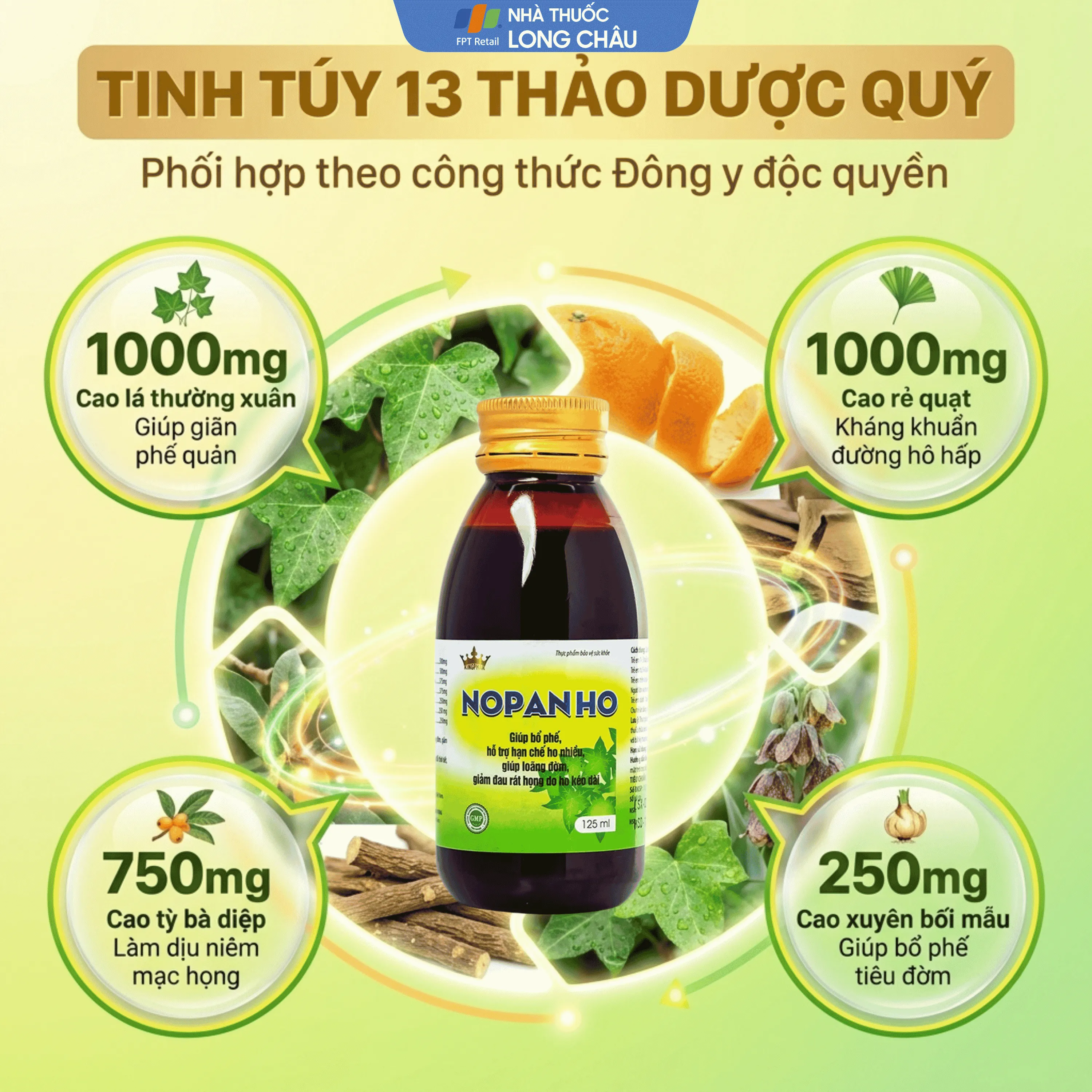SIRO HO, BỔ PHẾ NOPANHO KINGPHAR 125ML 4