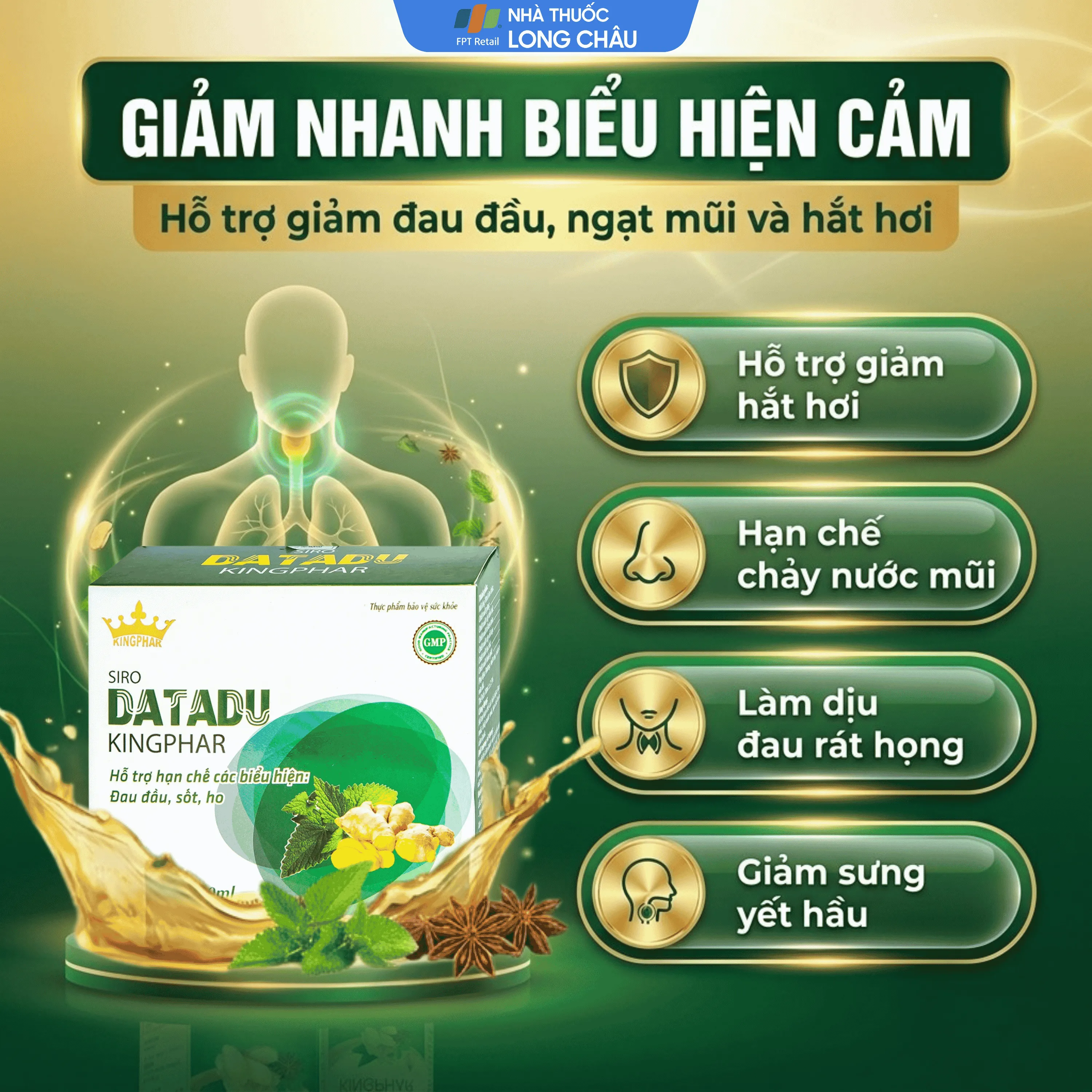 SIRO HO, HỖ TRỢ HẠN CHẾ ĐAU ĐẦU, SỐT DATADU KINGPHAR 4X5 ỐNG 10ML 4