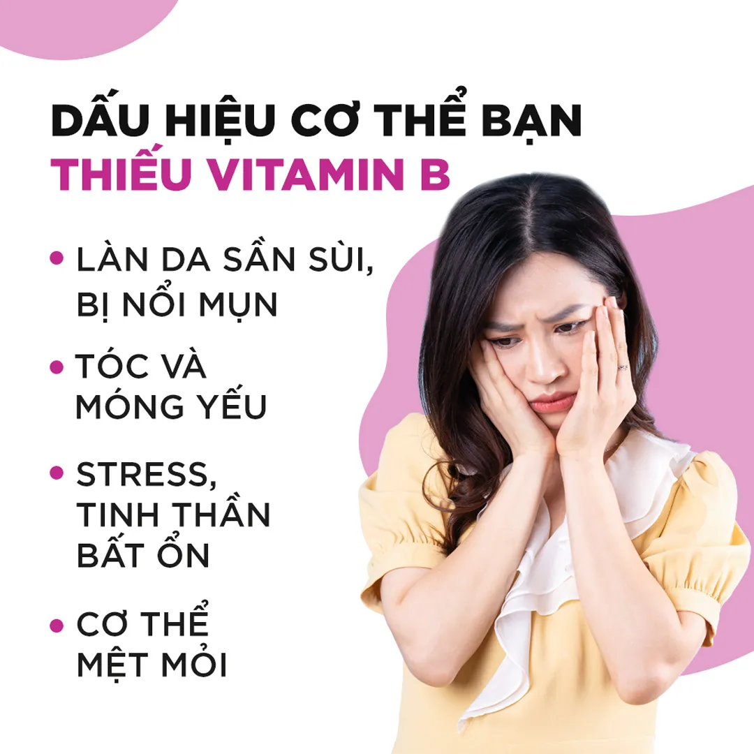 Thực Phẩm Bảo Vệ Sức Khỏe DHC Vitamin B Mix 5