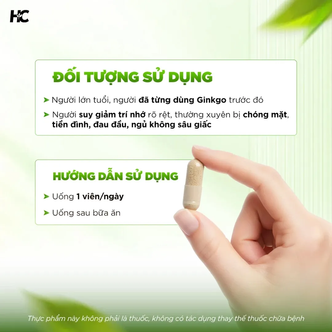Thực Phẩm Bảo Vệ Sức Khỏe Ginkgo Biloba 6000mg 6