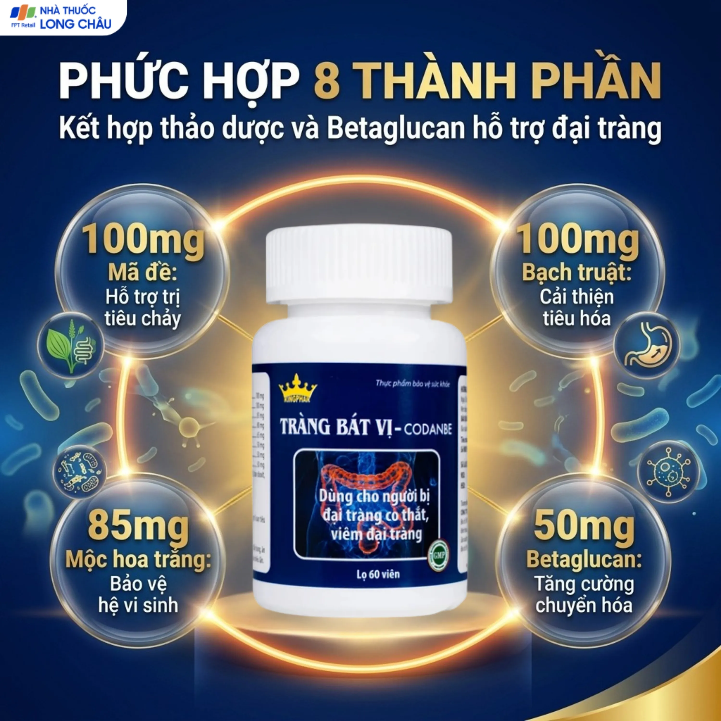 TRÀNG BÁT VỊ CODANBE KINGPHAR 60V 3