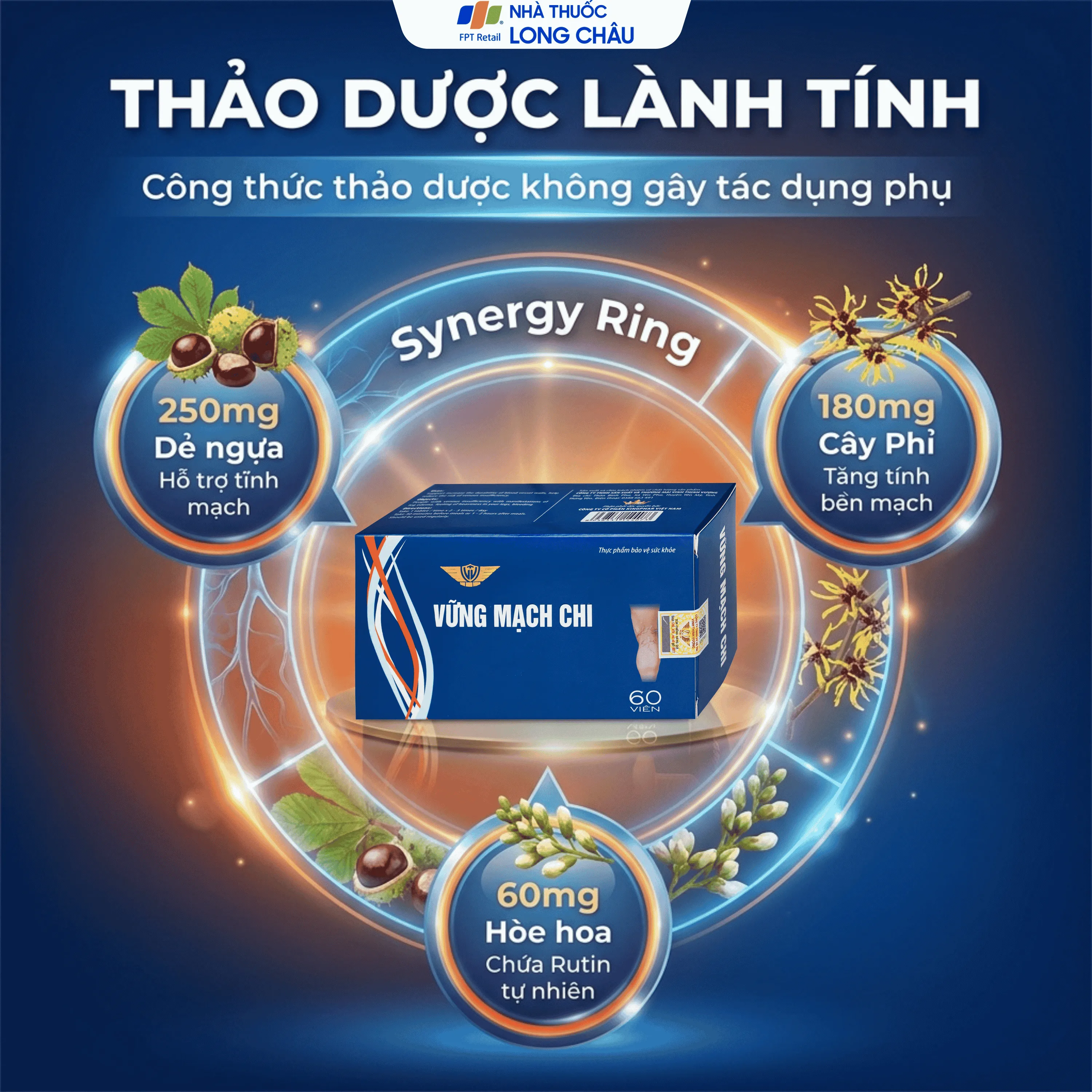 VỮNG MẠCH CHI KINGPHAR 6X10 3