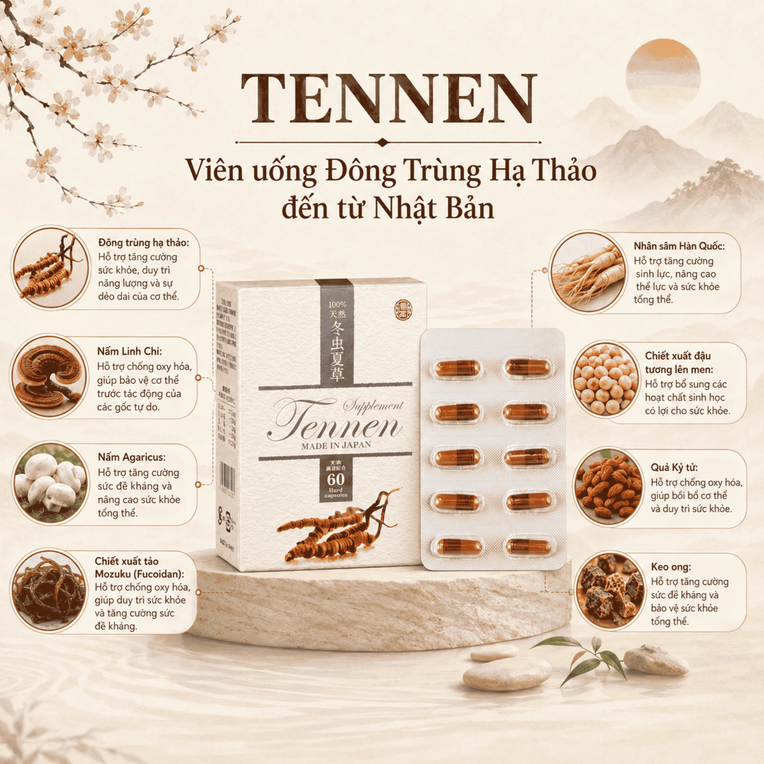 VIÊN UỐNG ĐÔNG TRÙNG HẠ THẢO TENNEN JPANWELL 60V 3