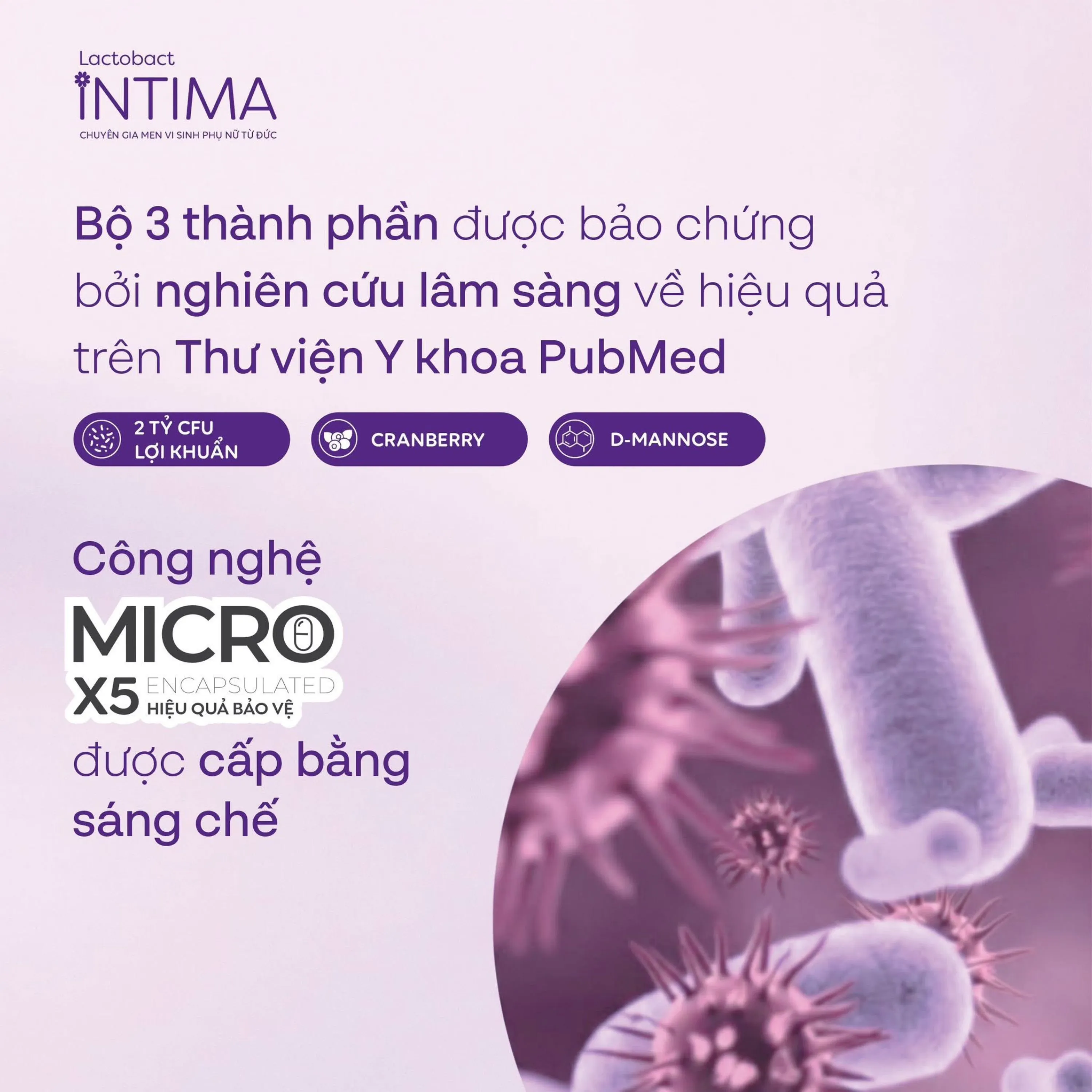 VIÊN UỐNG BỔ SUNG LỢI KHUẨN CHO PHỤ NỮ LACTOBACT INTIMA 30V 4