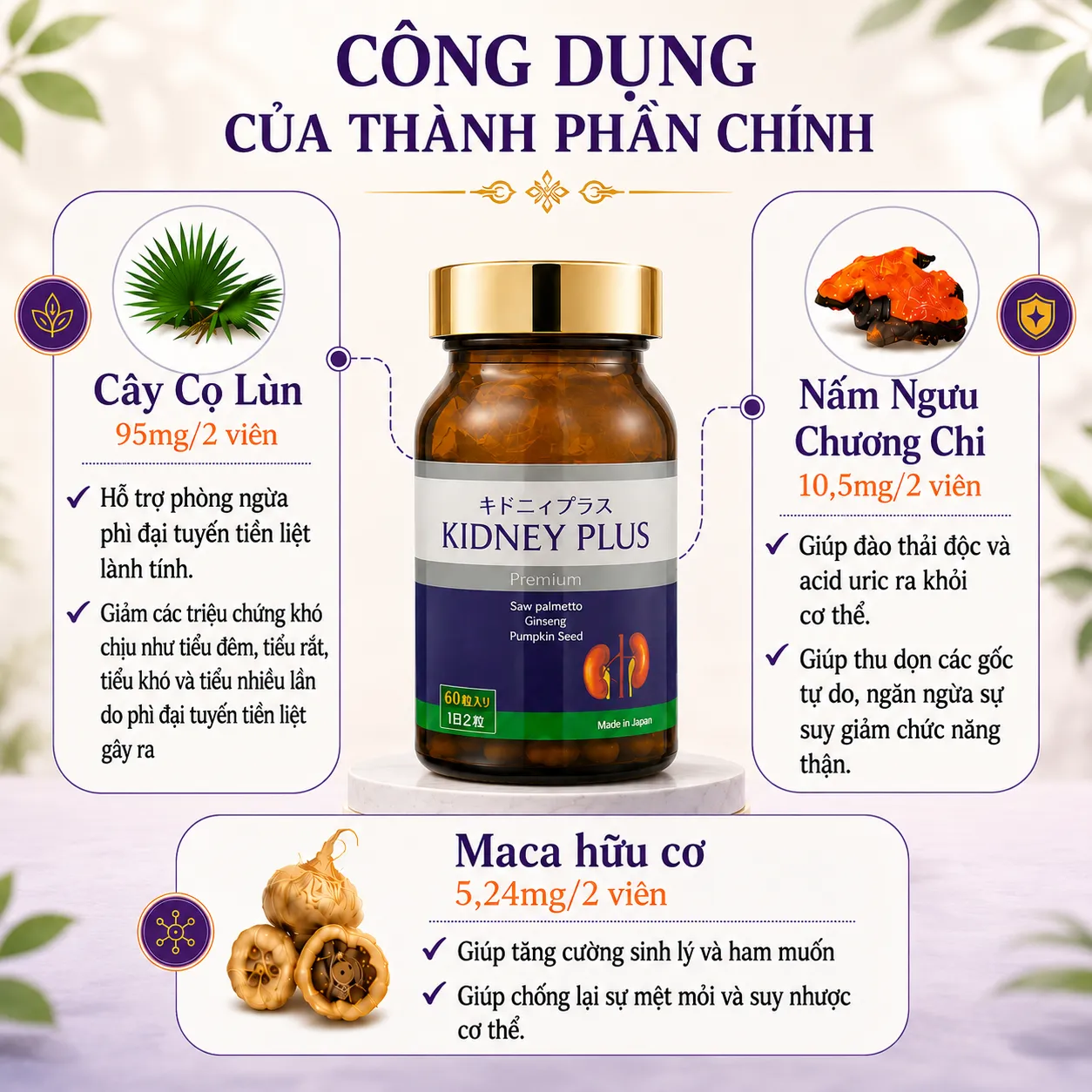 VIÊN UỐNG BỔ THẬN KIDNEY PLUS JPANWELL 60V 3