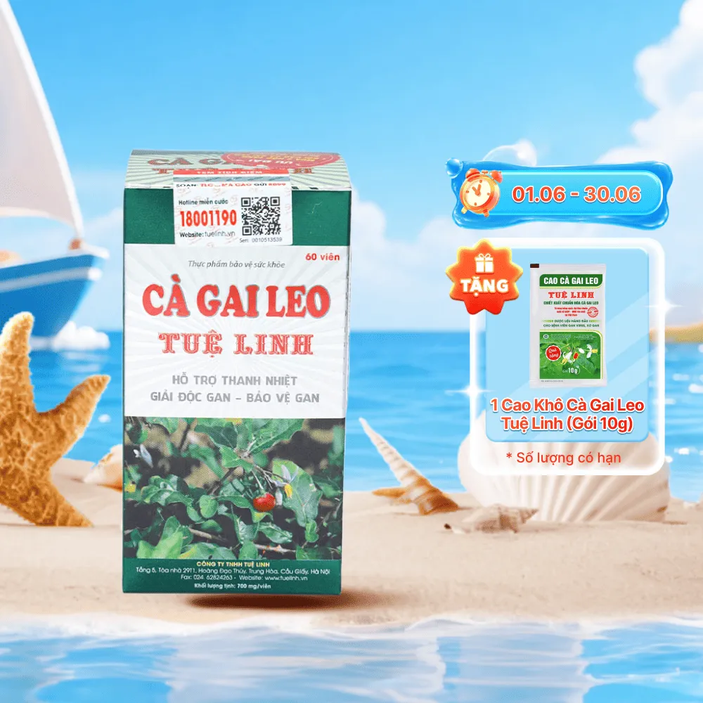 Viên uống Cà Gai Leo Tuệ Linh (hộp 60 viên) giúp giải độc gan,