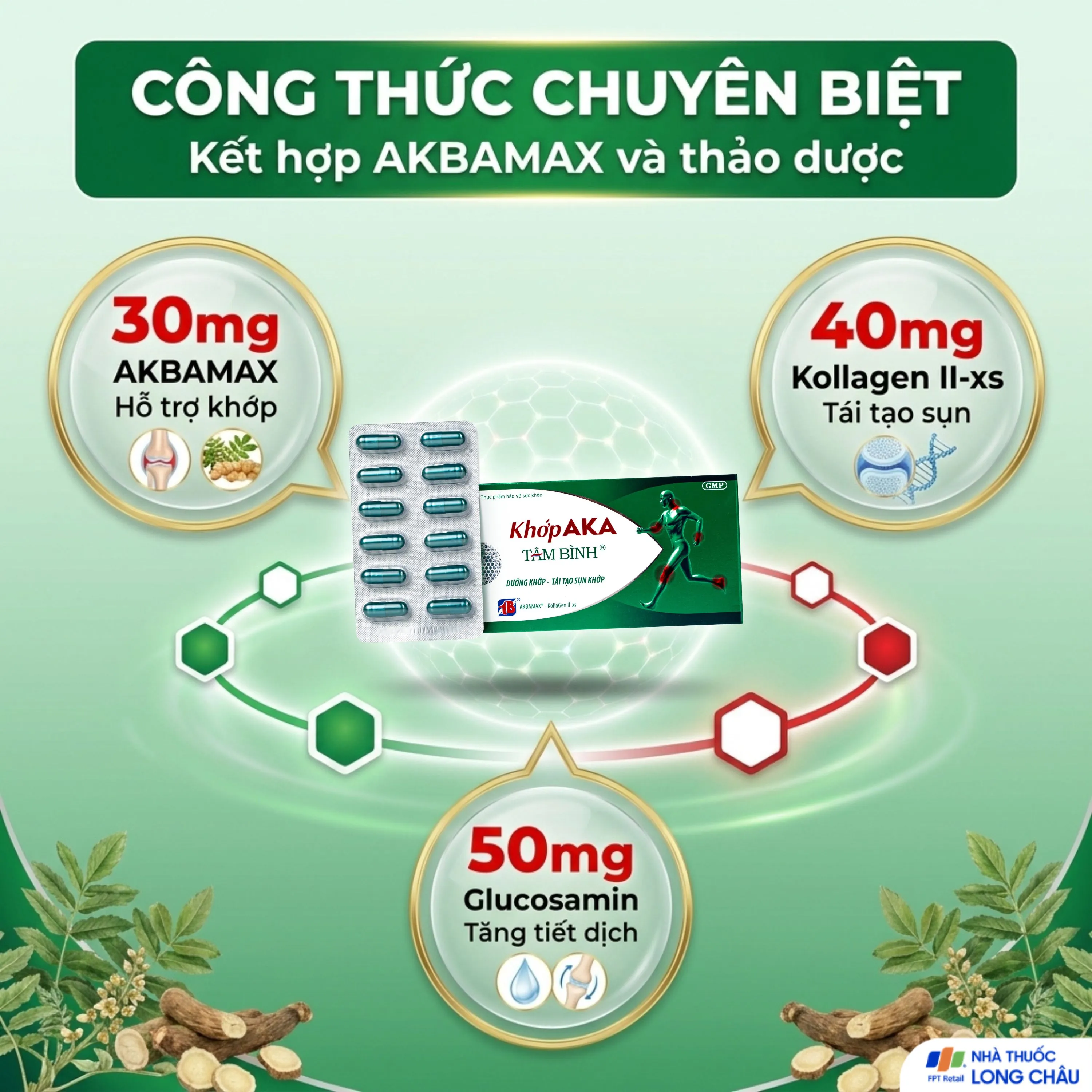 VIÊN UỐNG DƯỠNG KHỚP, TÁI TẠO SỤN KHỚP AKA TÂM BÌNH 5X12 3