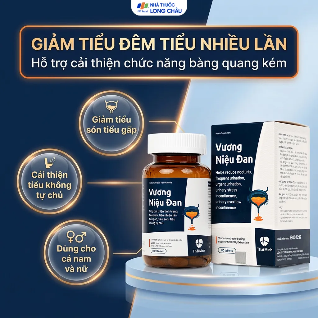 VIÊN UỐNG GIẢM TIỂU ĐÊM VƯƠNG NIỆU ĐAN THÁI MINH 80V 2