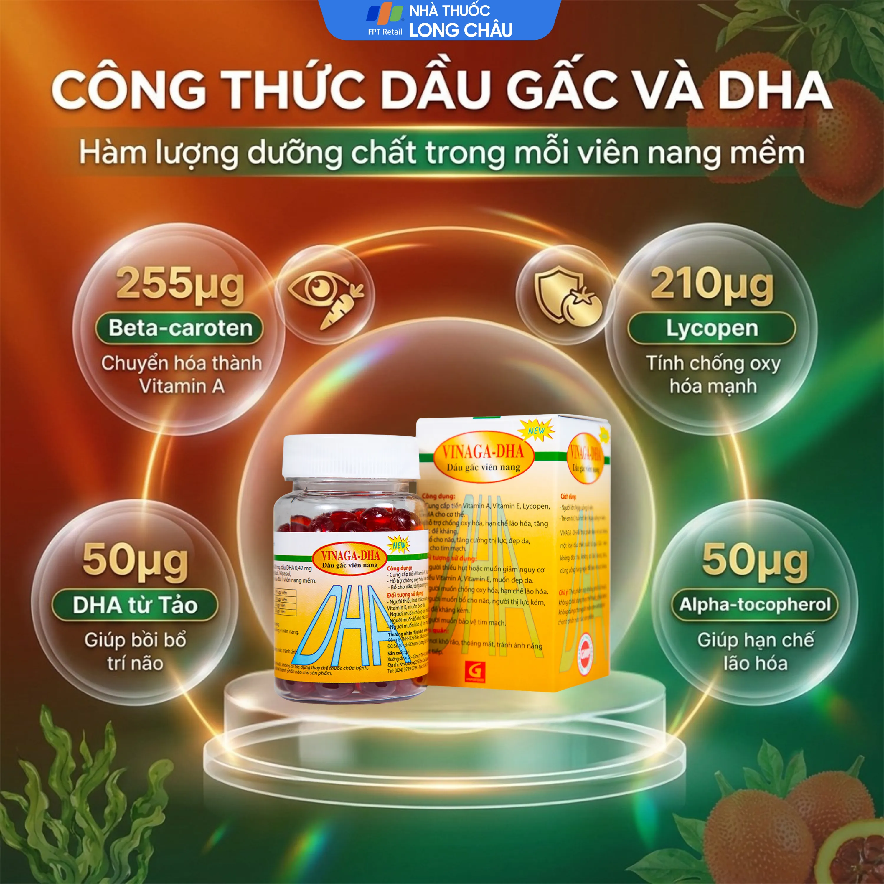 VIÊN UỐNG GIÚP BỔ NÃO DẦU GẤC VIÊN NANG VINAGA - DHA 100V 2