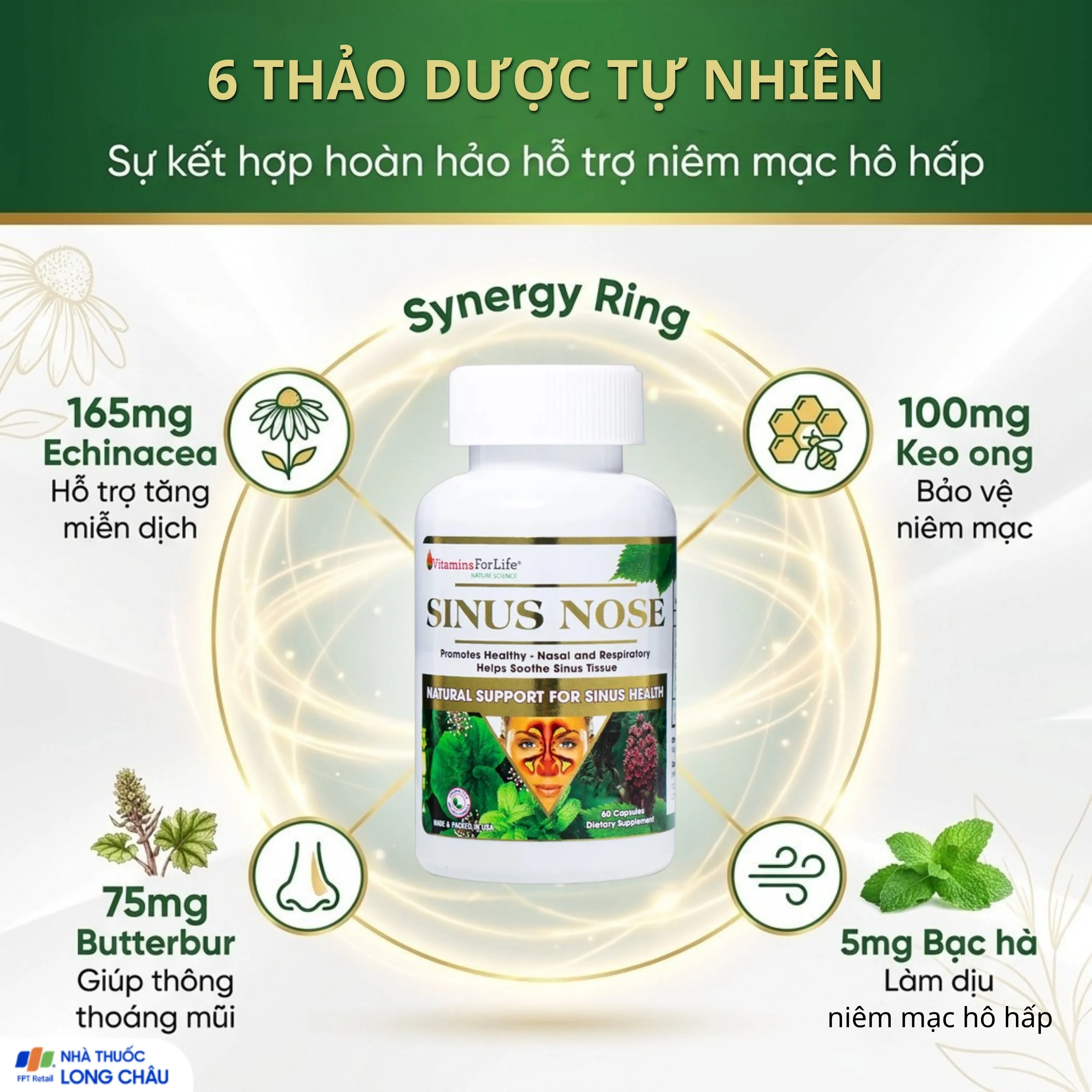 VIÊN UỐNG HỖ TRỢ ĐƯỜNG HÔ HẤP- VIÊM XOANG-VIÊM MŨI DỊ ỨNG SINUS NOSE VITAMINS FOR LIFE 60V 3