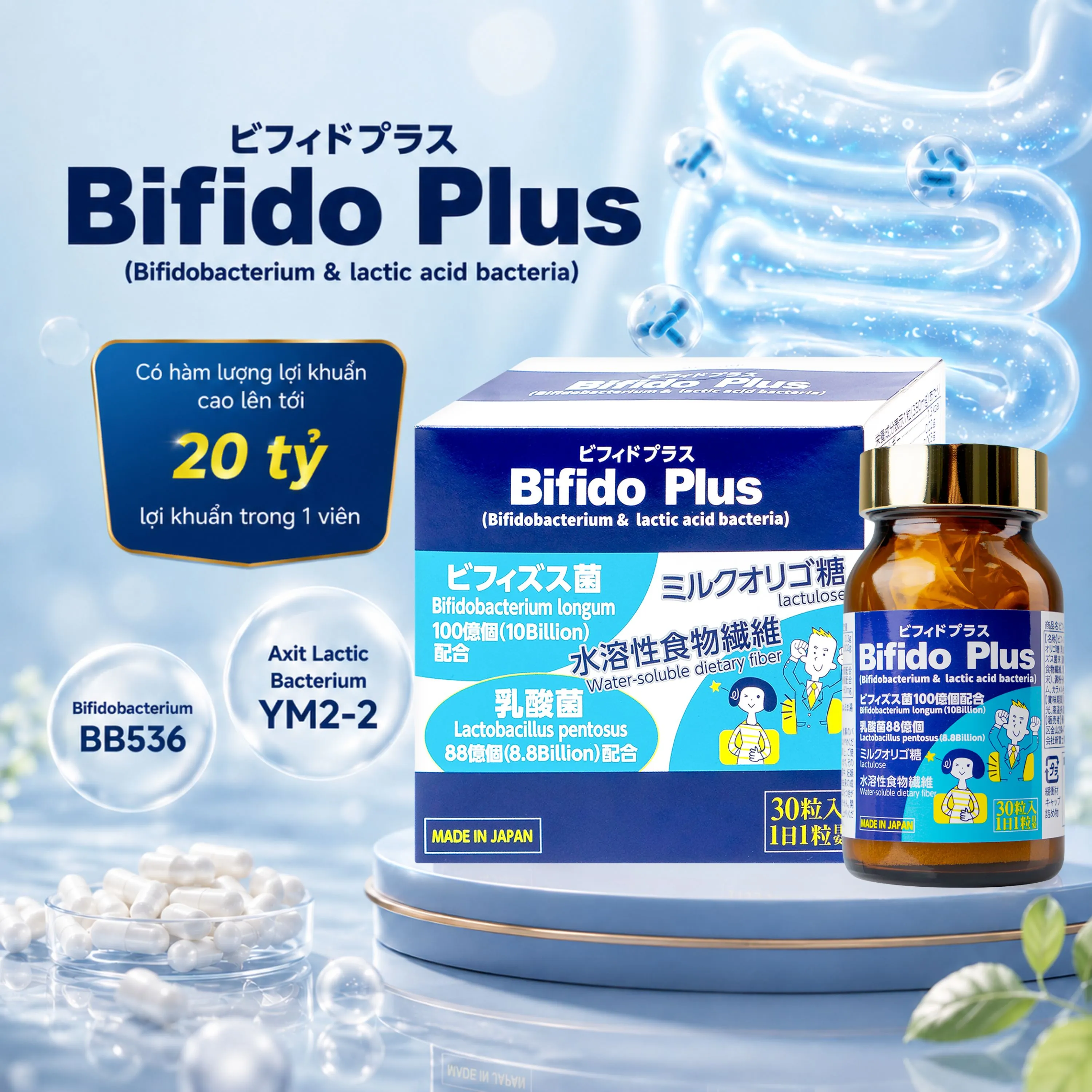 VIÊN UỐNG HỖ TRỢ ĐẠI TRÀNG BIFIDO PLUS JPANWELL 30V 2