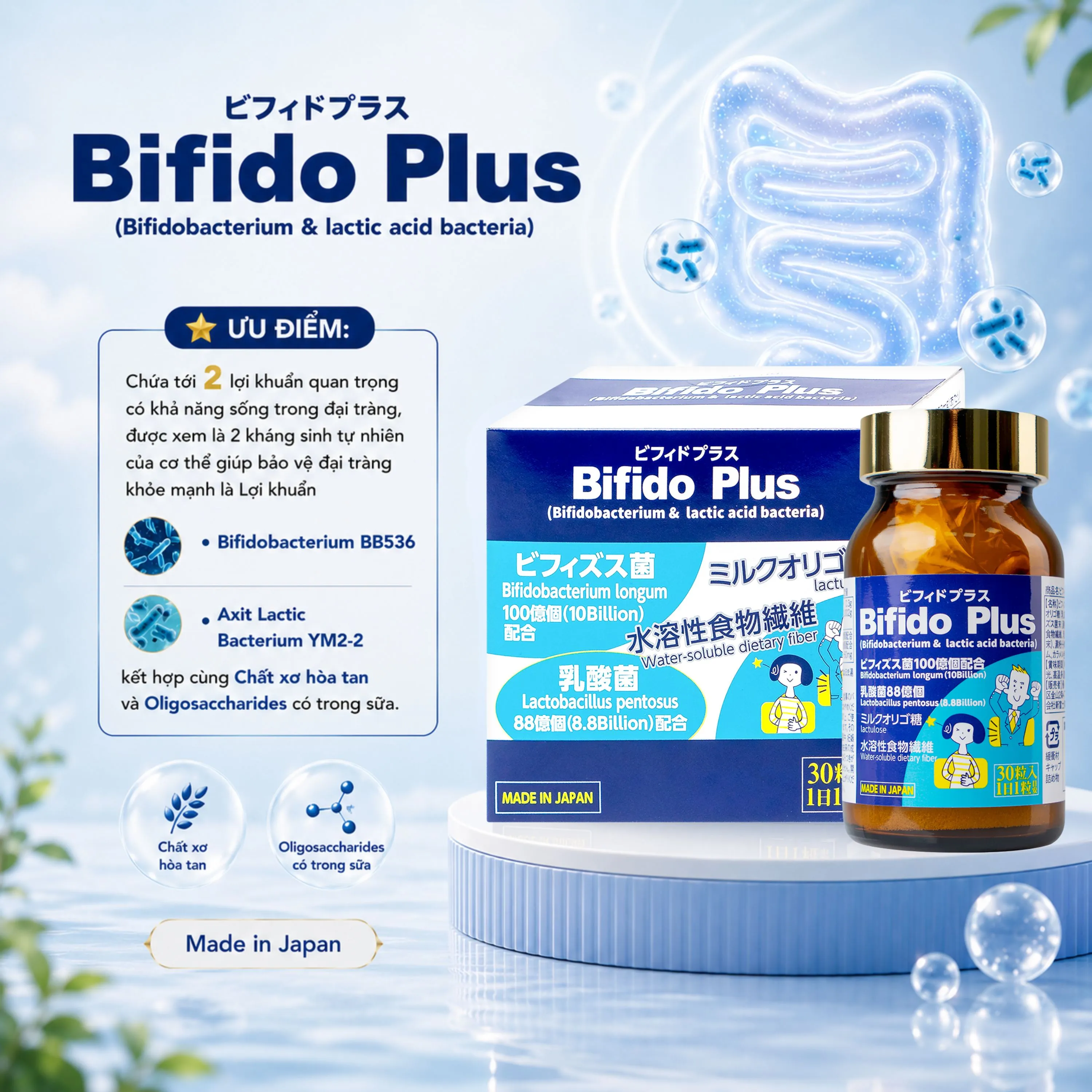 VIÊN UỐNG HỖ TRỢ ĐẠI TRÀNG BIFIDO PLUS JPANWELL 30V 3