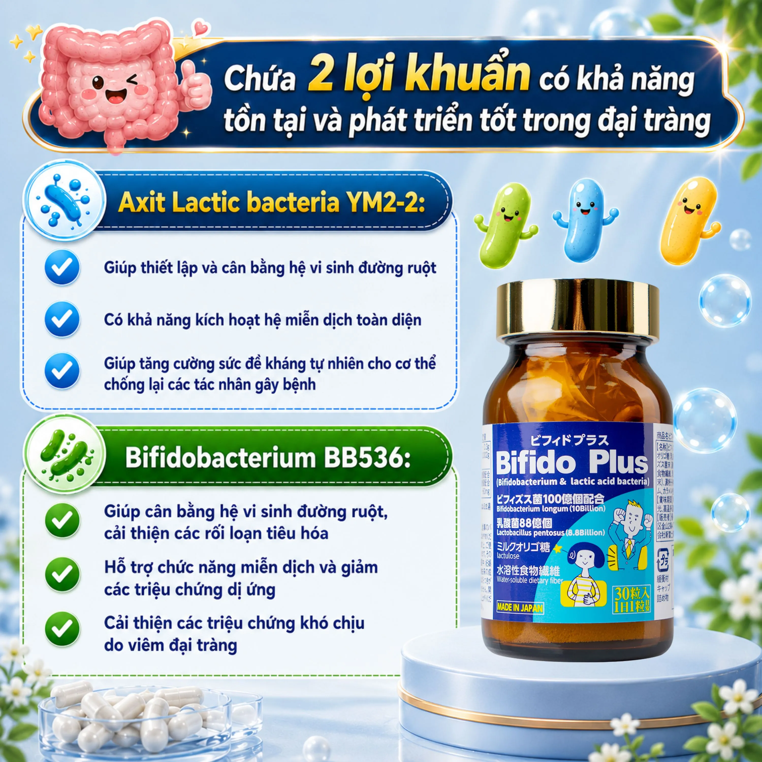 VIÊN UỐNG HỖ TRỢ ĐẠI TRÀNG BIFIDO PLUS JPANWELL 30V 4
