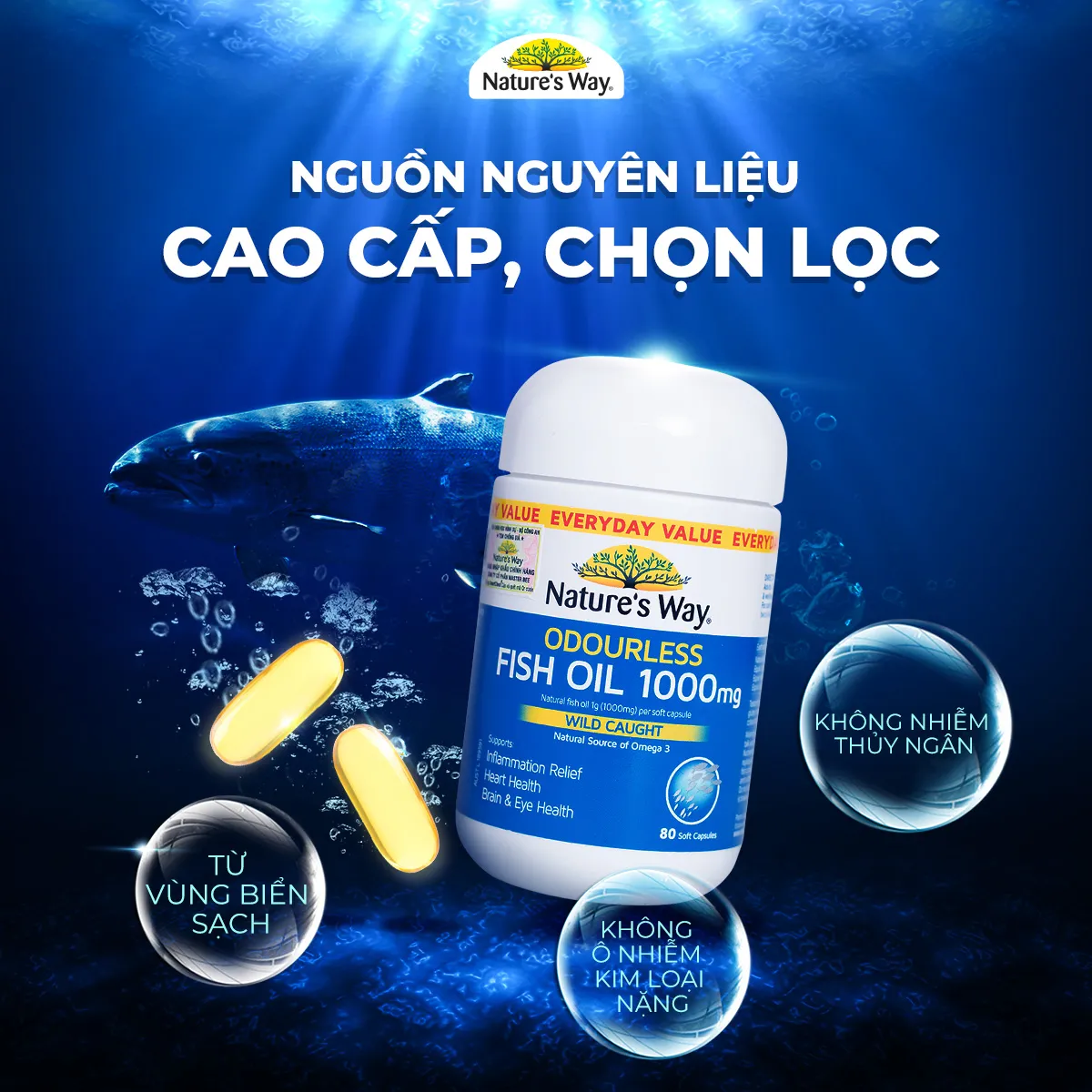 VIÊN UỐNG HỖ TRỢ BỔ NÃO ODOURLESS FISH OIL 1000MG NATURE'S WAY 80V 3