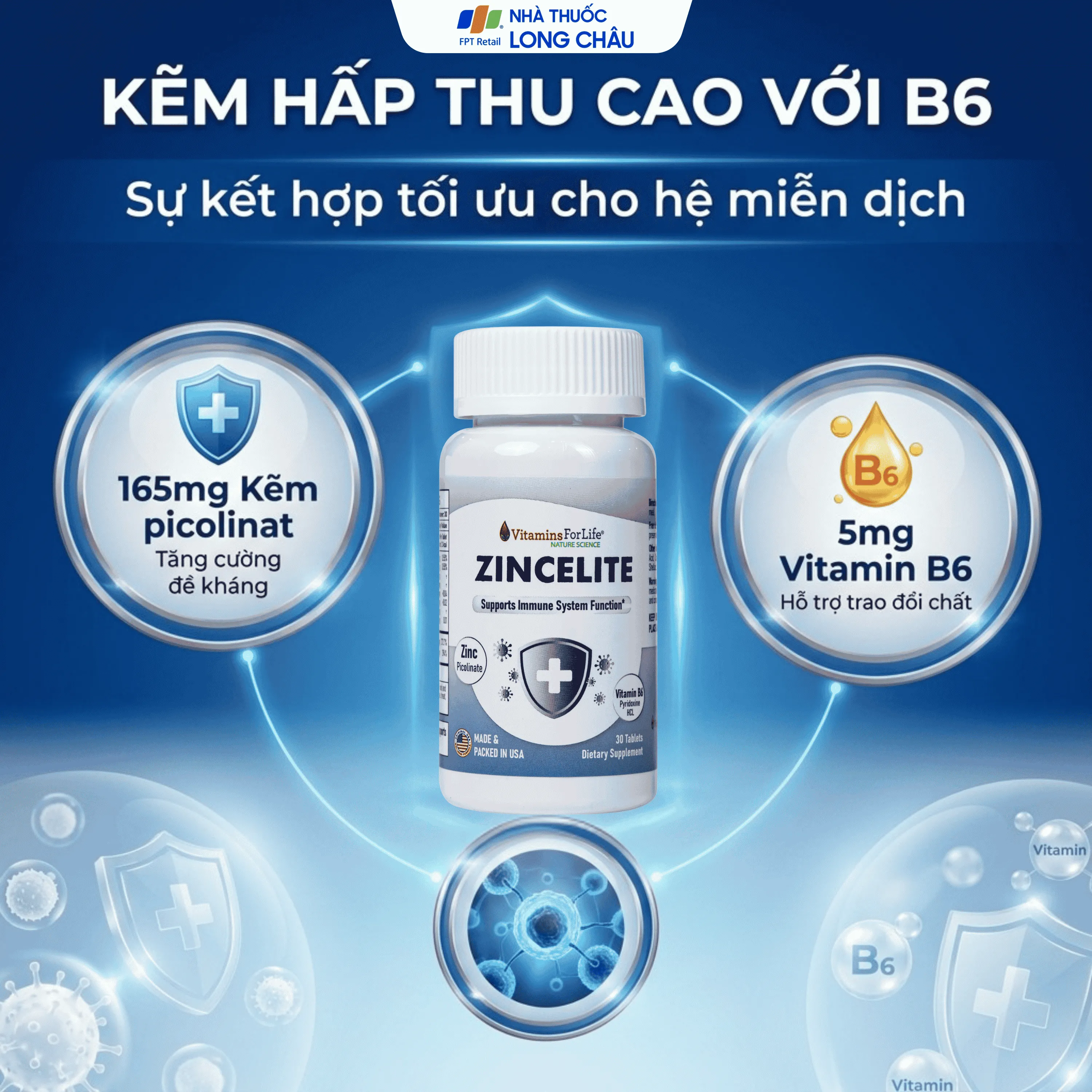 VIÊN UỐNG HỖ TRỢ CẢI THIỆN SỨC ĐỀ KHÁNG CHO CƠ THỂ ZINCELITE VITAMINS FOR LIFE 30V 3