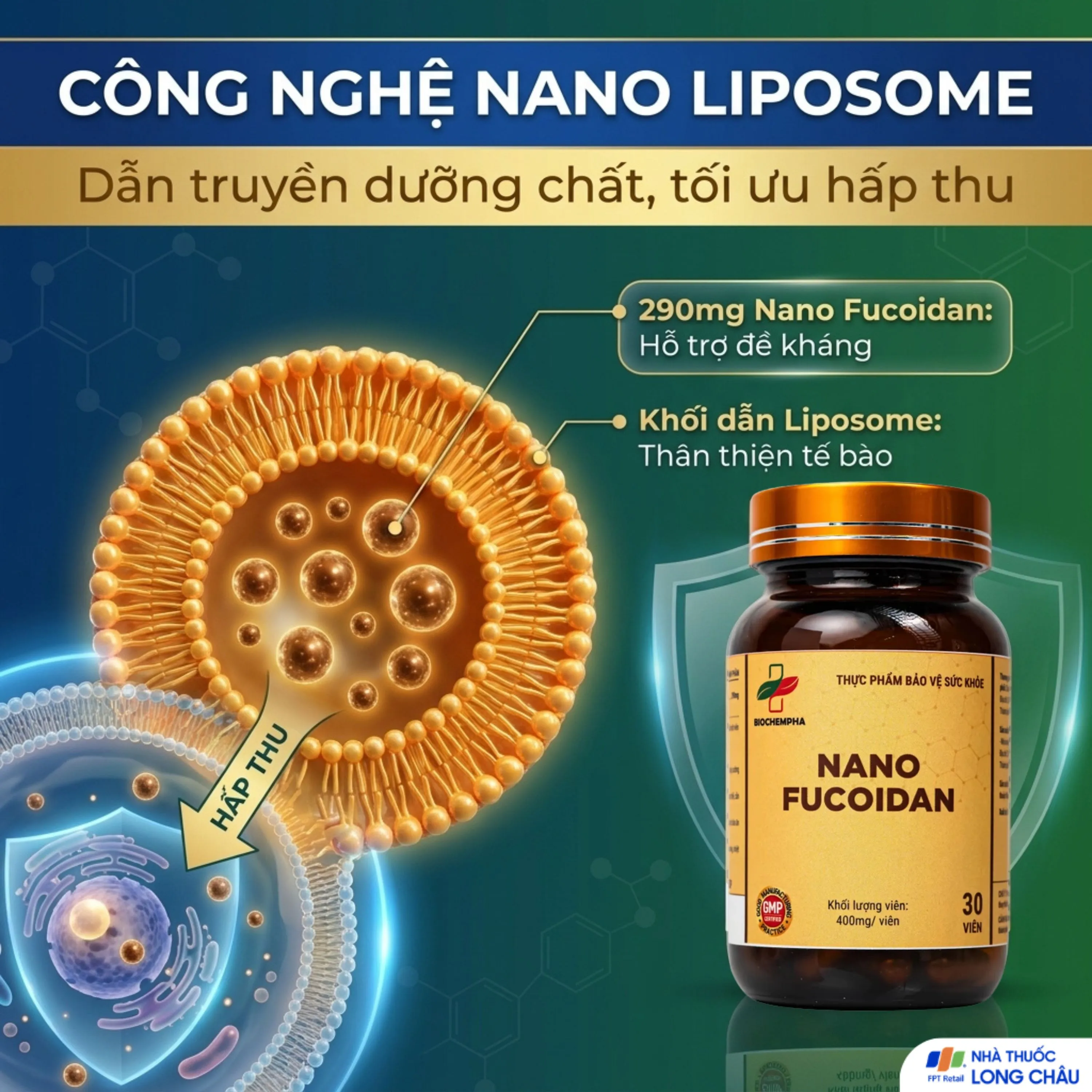 VIÊN UỐNG HỖ TRỢ CHỐNG OXY HÓA, HẠN CHẾ GỐC TỰ DO, TĂNG CƯỜNG SỨC KHỎE NANO FUCOIDAN BIOCHEMPHA 30V 3